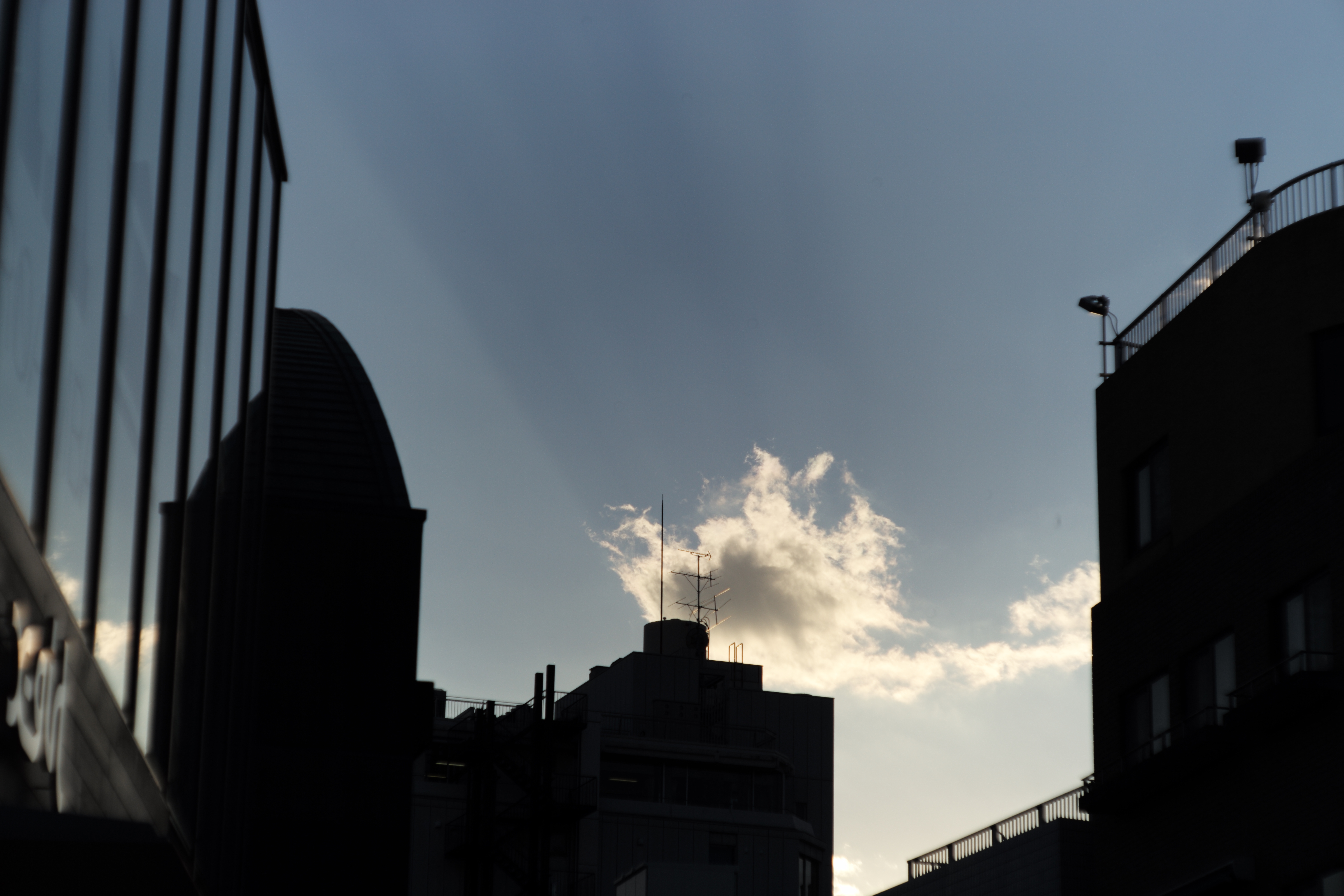 ライカM Typ 240 / タンバールM f2.2/90mm / 1/1,500秒 / F6.3 / 0EV / ISO 200 / 絞り優先AE / 90mm