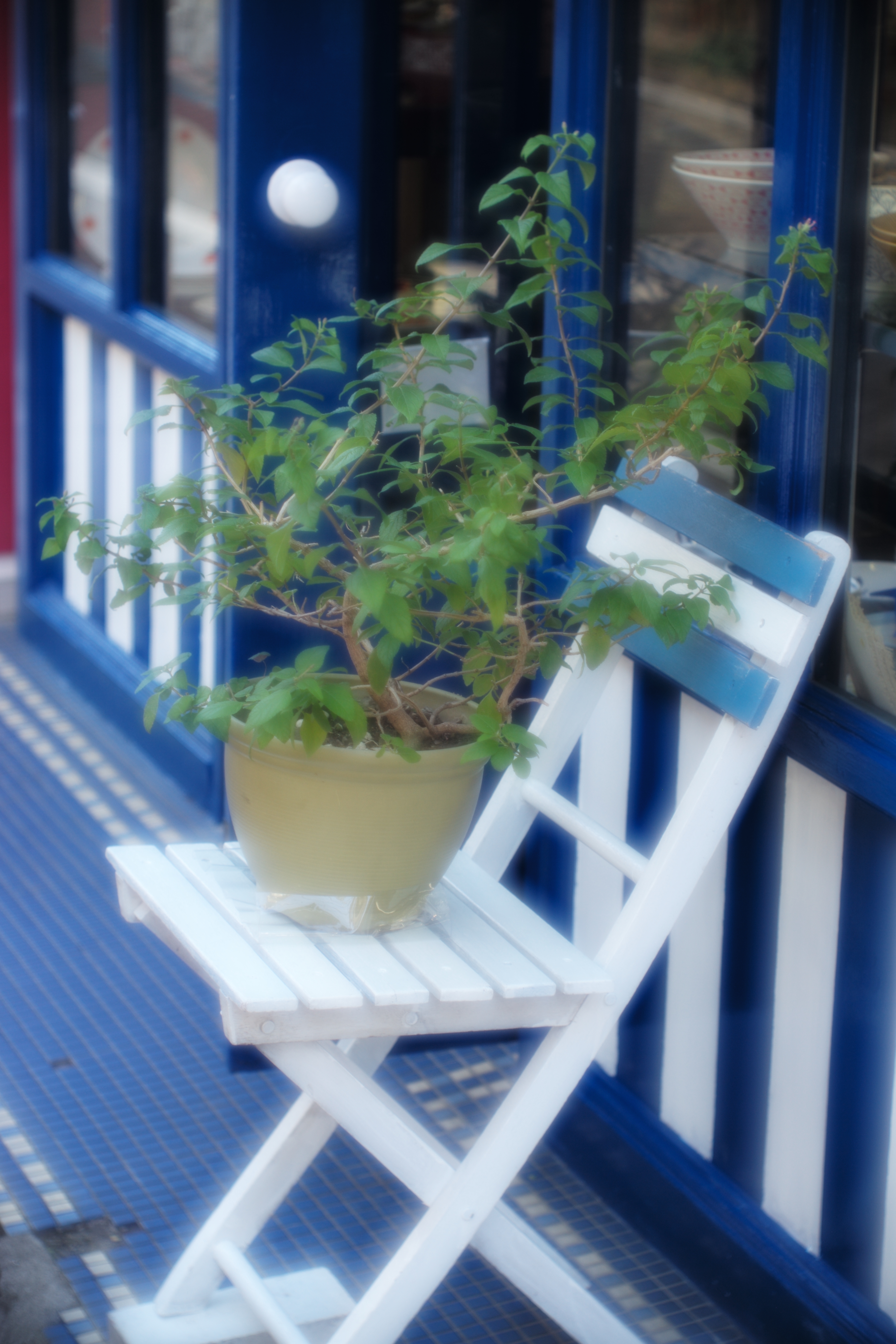 ライカM Typ 240 / タンバールM f2.2/90mm / 1/180秒 / F2.6 / +0.3EV / ISO 200 / 絞り優先AE / 90mm