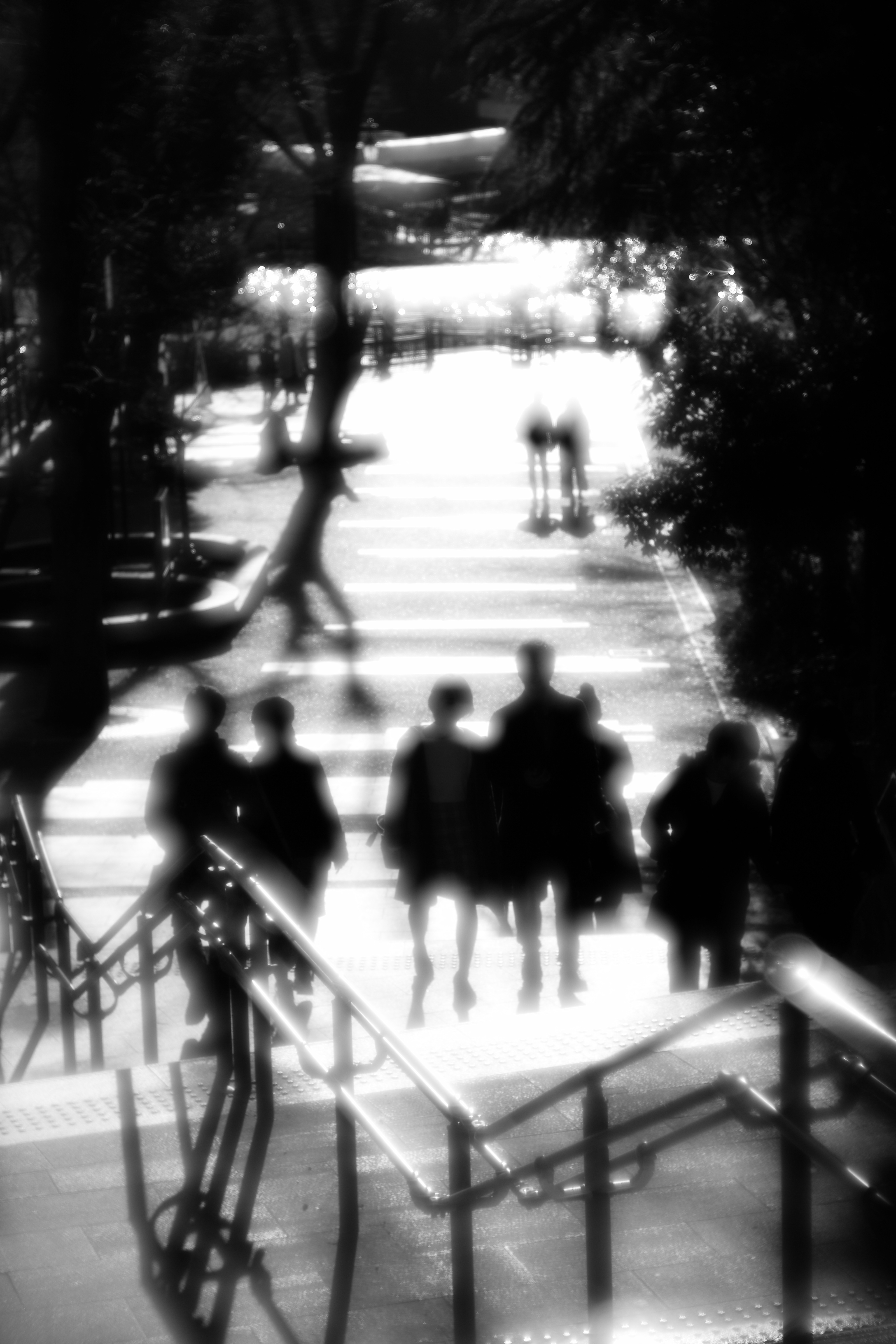 ライカM Typ 240 / タンバールM f2.2/90mm / 1/4,000秒 / F2.3 / 0EV / ISO 200 / 絞り優先AE / 90mm