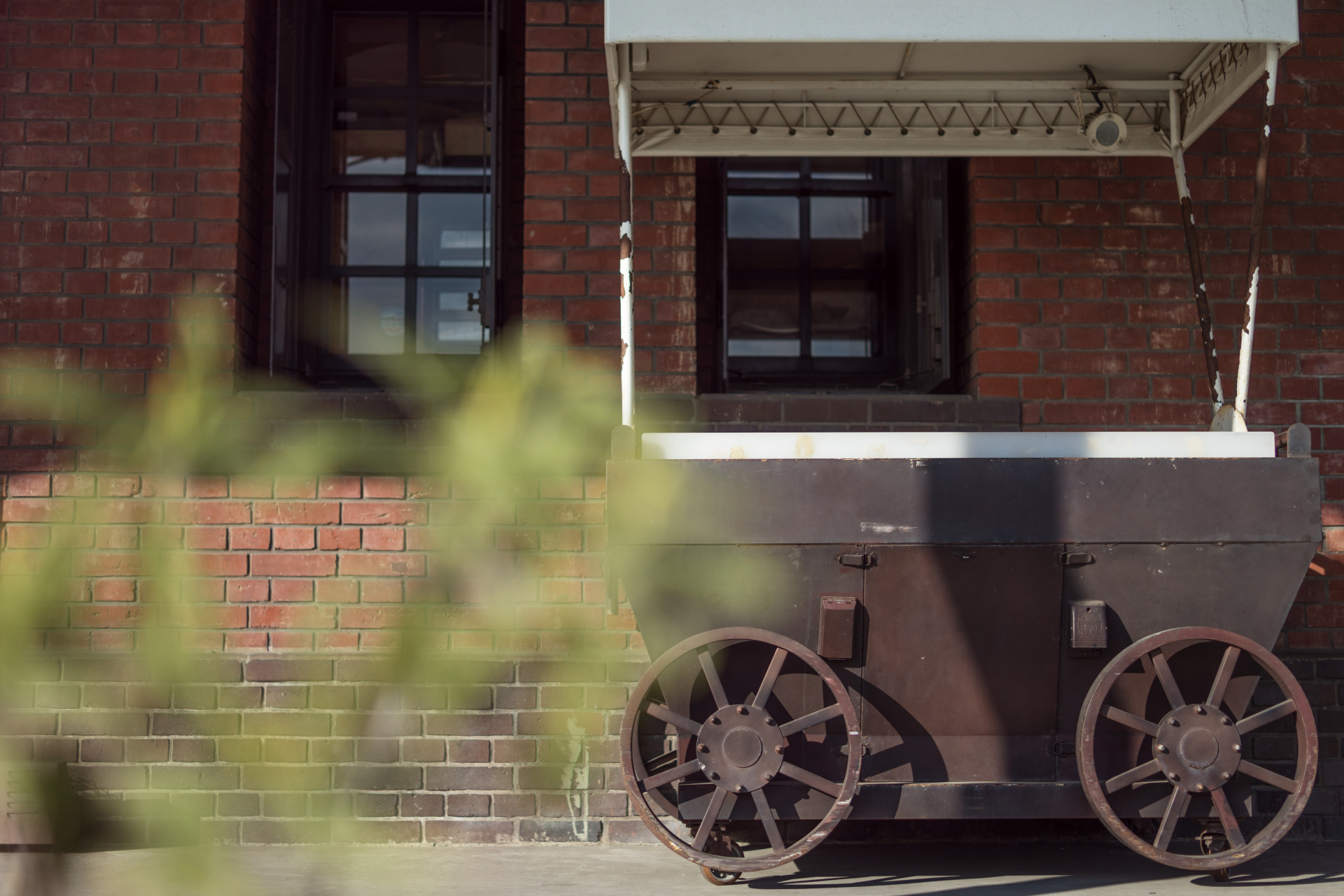 前ボケの様子を見たくてちょっと強引に構図を作ってみた。ごらんのとおり非常に素直な前ボケだ。ライカTL2 / ISO100 / F1.4 / 1/4,000秒 / WB:オート