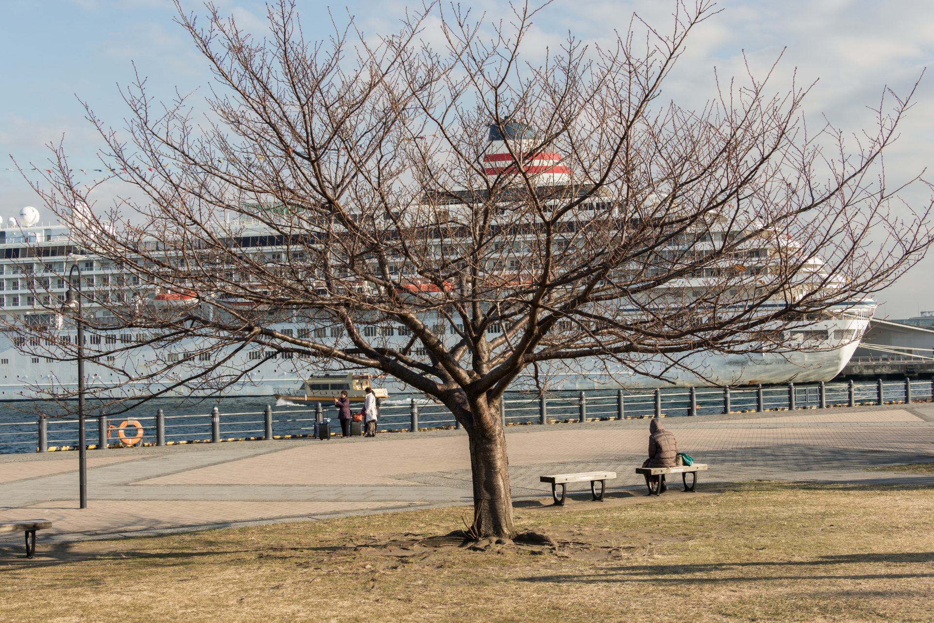 F8まで絞ってプレーンな描写を狙ってみた。解像チャートのような被写体だが、期待したとおり、細部まで描写されている。ライカTL2 / ISO100 / F8 / 1/160秒 / WB:オート