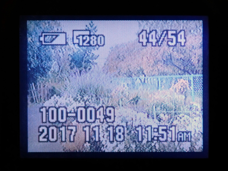 カメラ背面の1.0型モニターに表示した撮影画像を、ドーンとアップで捉えてみた。……なんだか、イロイロとツライ表示品質。でも、実際にはちゃんと写ってますからっ！