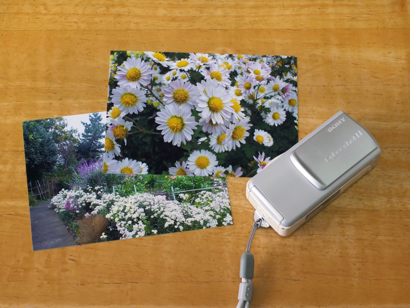 DSC-U10が小さいため、横のプリントが2Lくらいに見える。だけど、これはLサイズ。「130万画素からのプリント品質ってどうよ？」と、少々懐疑的だったが、十分見られる品質が得られた。