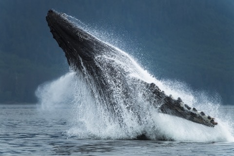 撮影：松本紀生