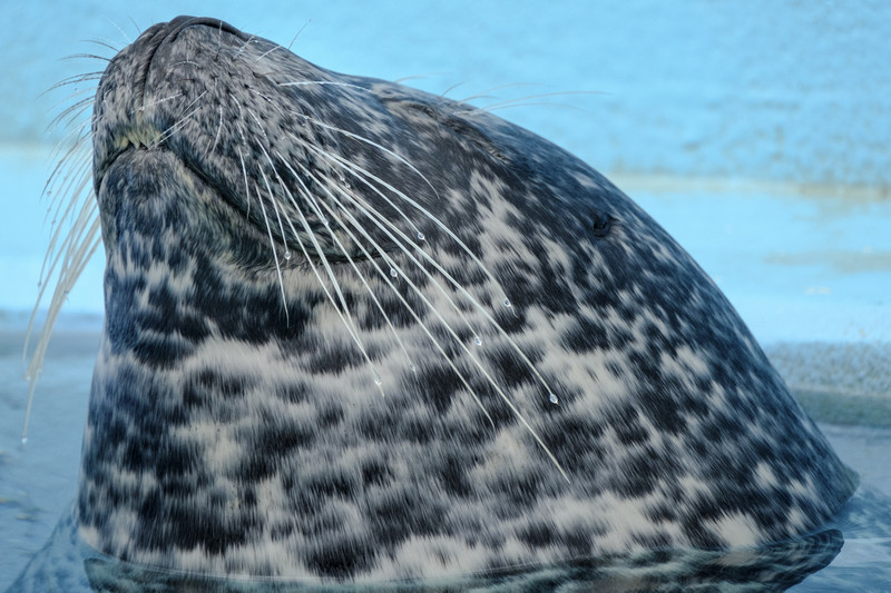 小林由枝さん（北海道登別市）