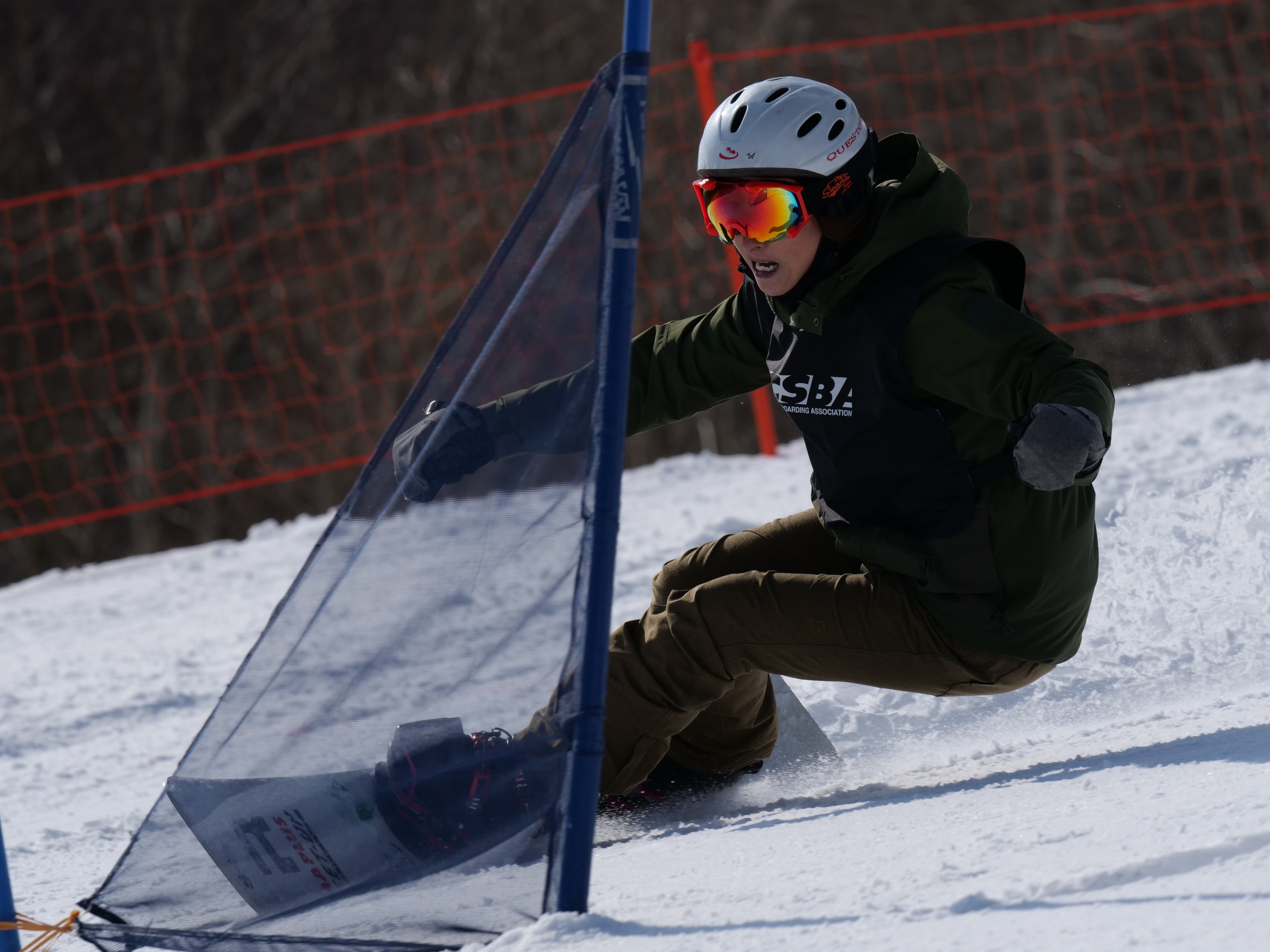 LUMIX G9 PRO / LEICA DG ELMARIT 200mm/F2.8/POWER O.I.S. / 1/2,500秒 / F6.3 / -0.7EV / ISO 200 / シャッター優先AE / 200m