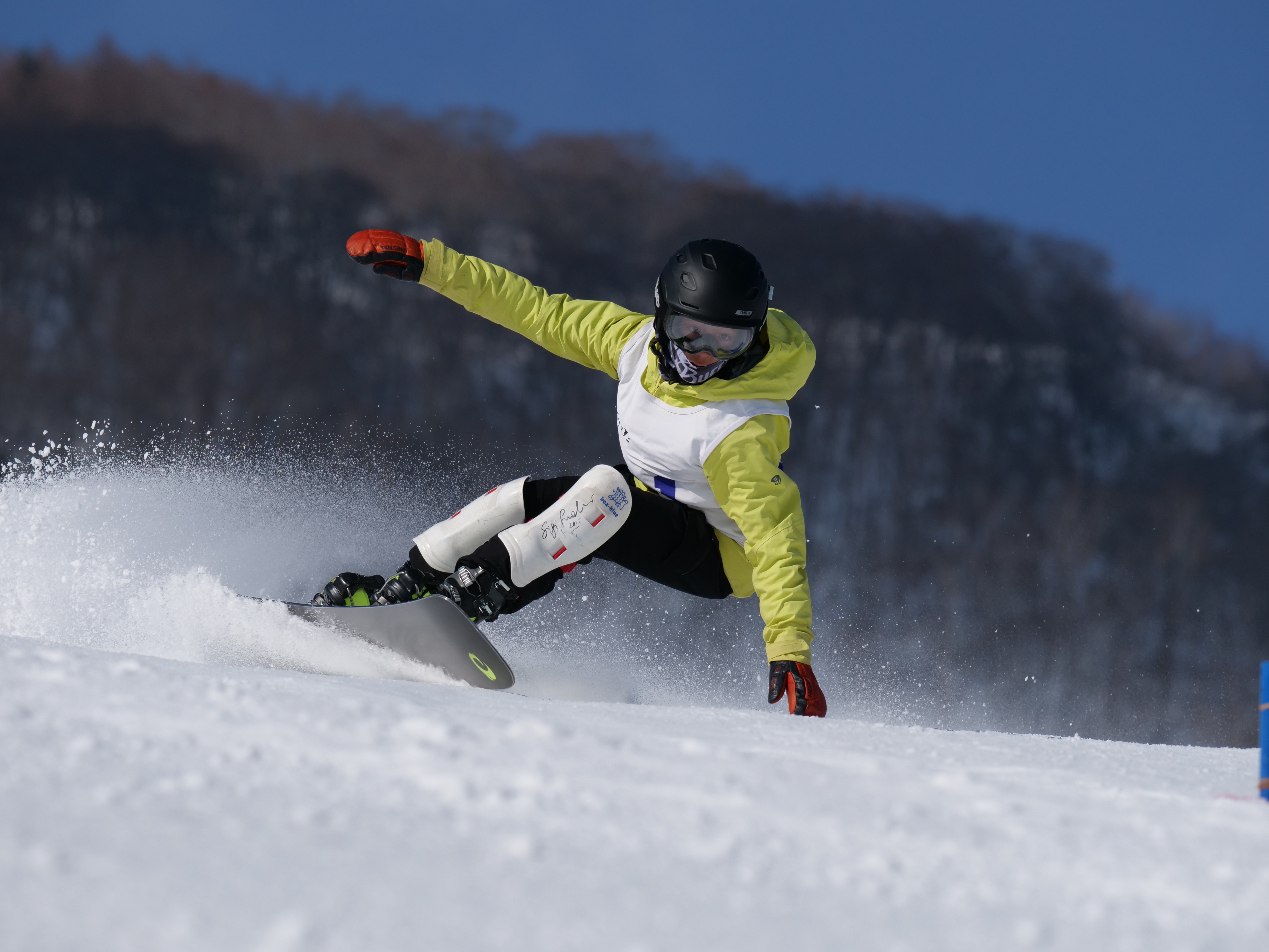 LUMIX G9 PRO / LEICA DG ELMARIT 200mm/F2.8/POWER O.I.S. / 1/3,200秒 / F5.6 / -0.7EV / ISO 200 / シャッター優先AE / 200m