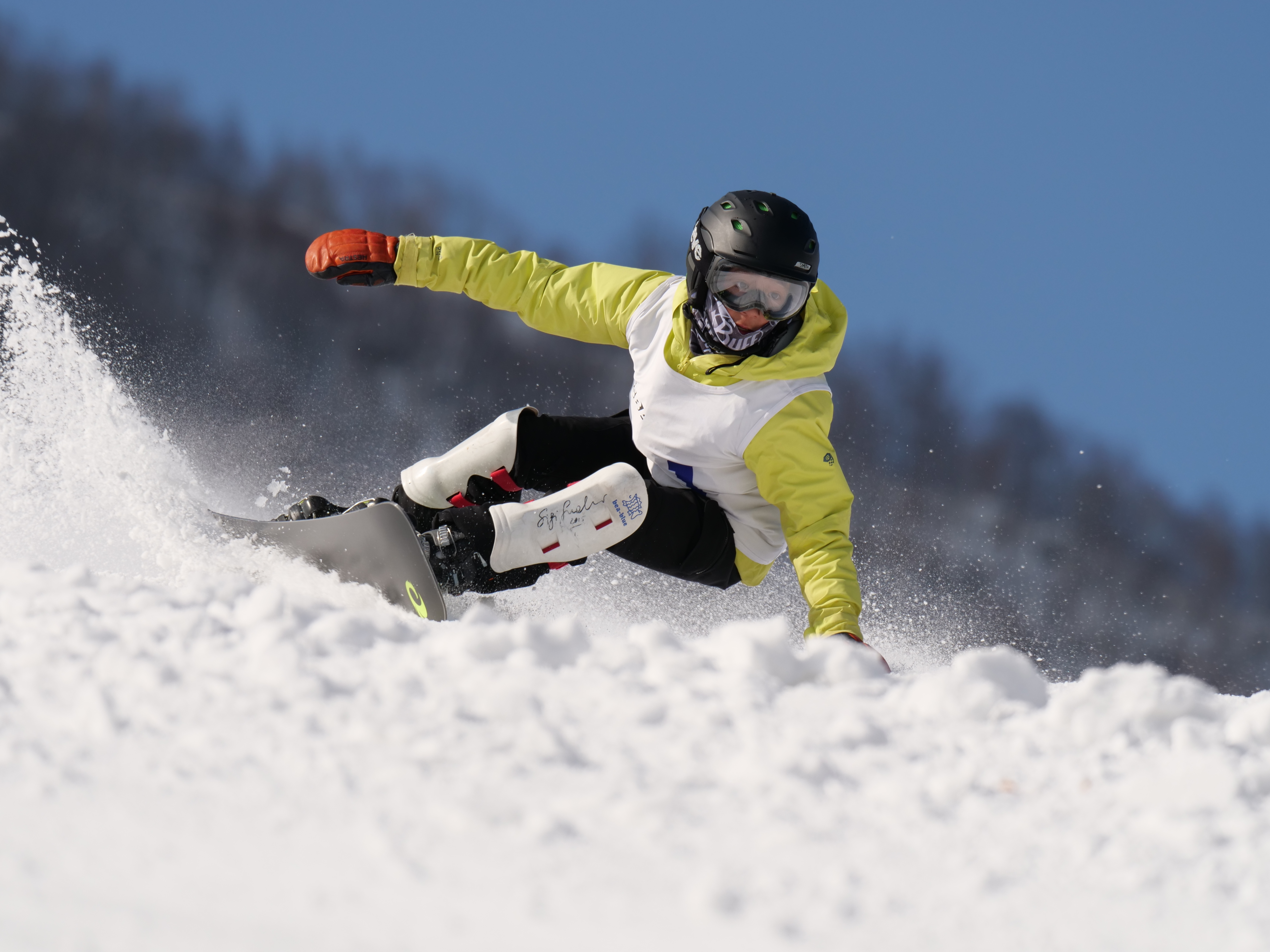 LUMIX G9 PRO / LEICA DG ELMARIT 200mm/F2.8/POWER O.I.S. / 1/2,000秒 / F5.6 / -0.3EV / ISO 200 / シャッター優先AE / 280m