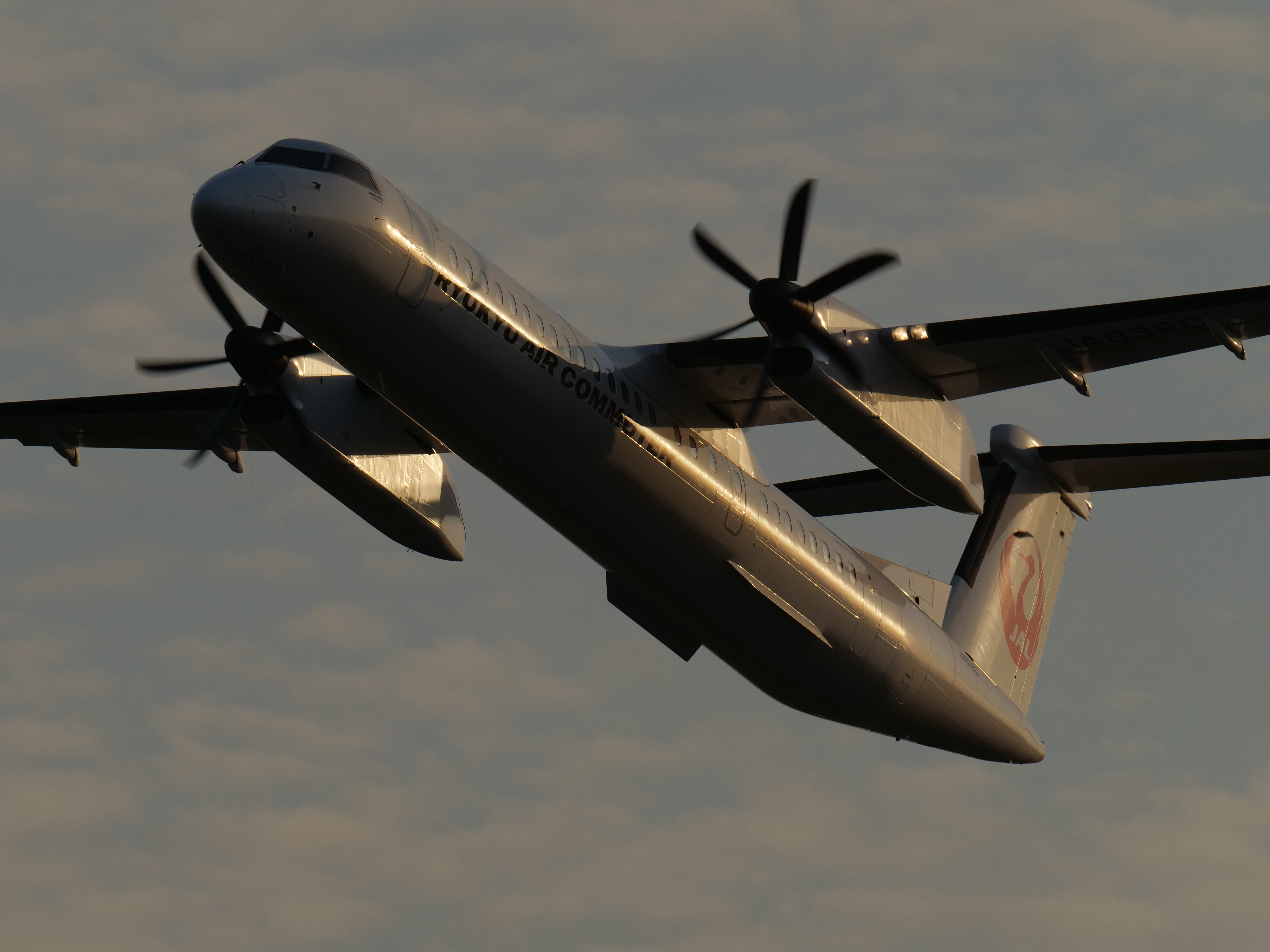 LUMIX G9 PRO / LEICA DG ELMARIT 200mm/F2.8/POWER O.I.S. / 1/1,000秒 / F9 / -1EV / ISO 200 / シャッター優先AE / 400mm