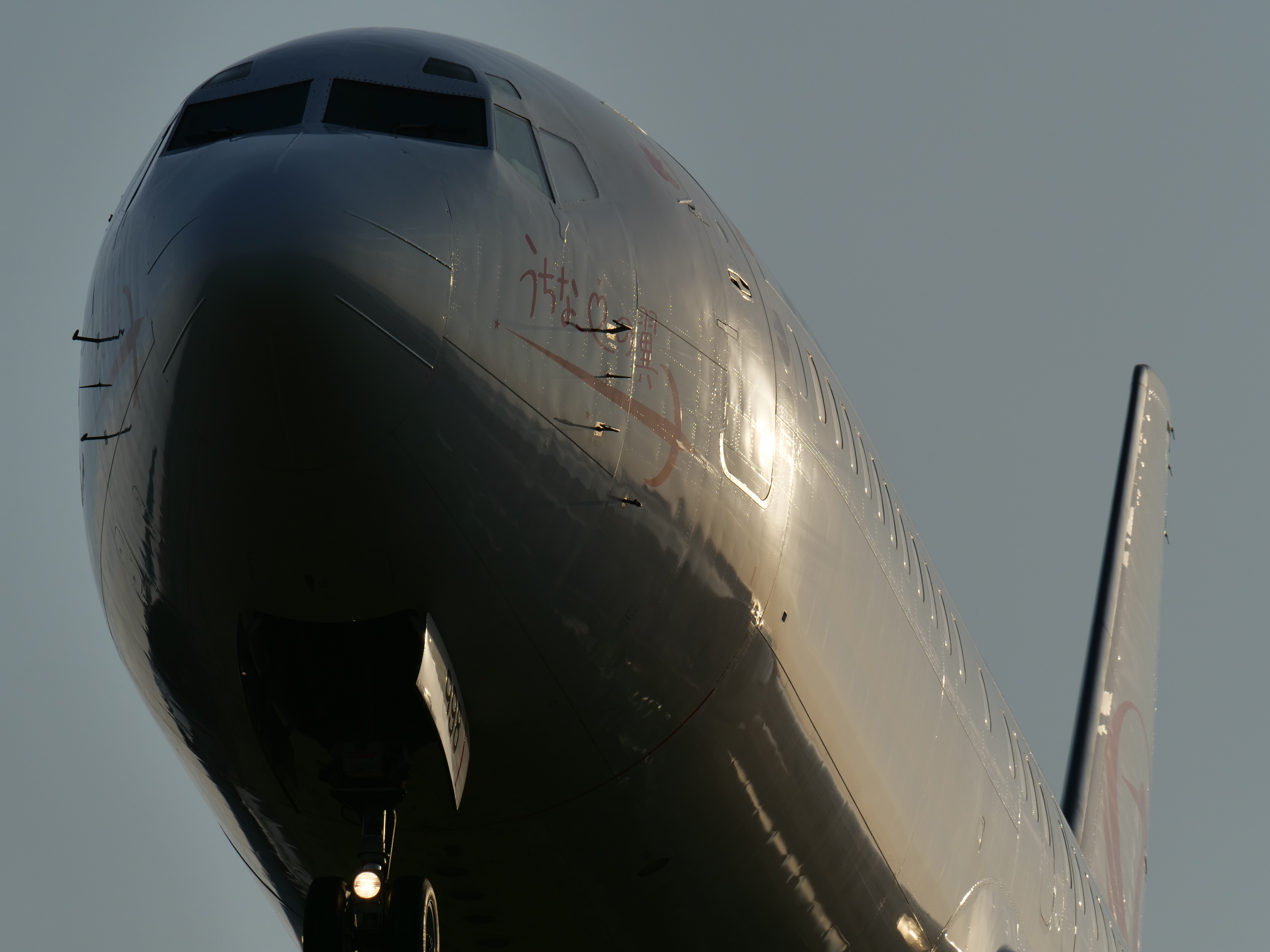 LUMIX G9 PRO / LEICA DG ELMARIT 200mm/F2.8/POWER O.I.S. / 1/2,000秒 / F9 / -0.7EV / ISO 200 / シャッター優先AE / 400mm