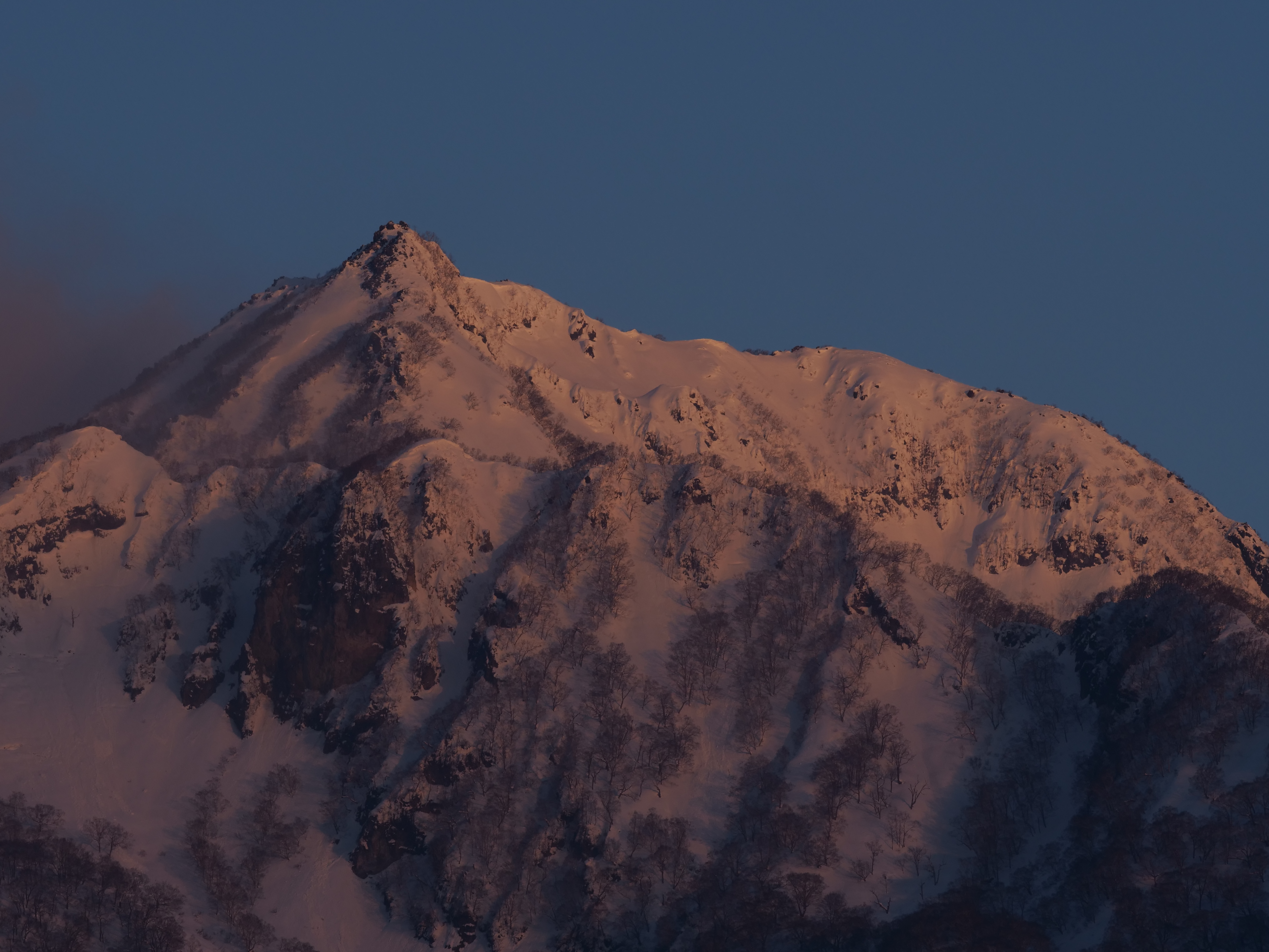 LUMIX G9 PRO / LEICA DG ELMARIT 200mm/F2.8/POWER O.I.S. / 1/320秒 / F8 / -1.7EV / ISO 200 / 絞り優先AE / 200mm