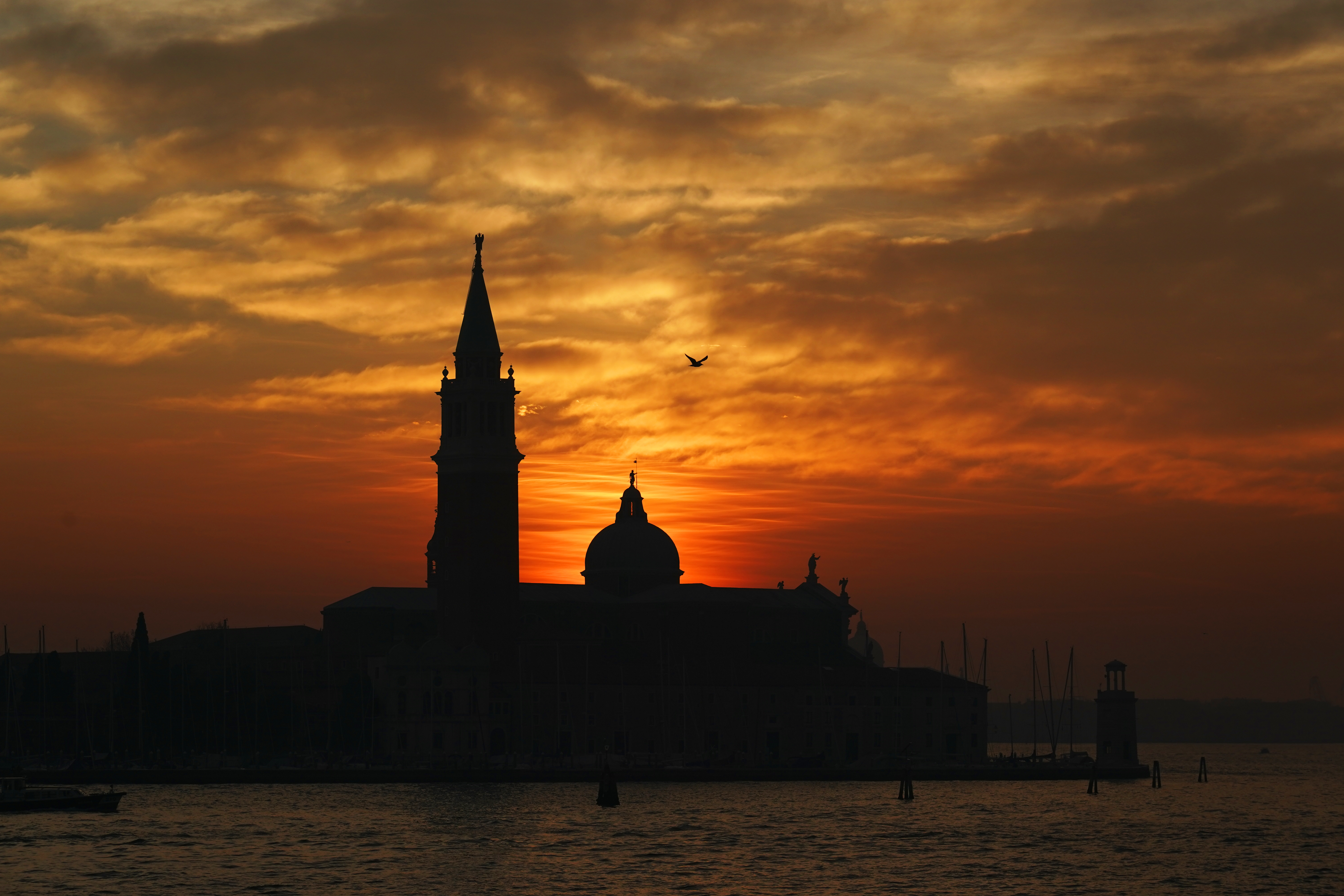 α9 / FE 24-105mm F4 G OSS / 1/1,600秒 / F8 / -0.3EV / ISO 400 / 絞り優先AE / 105mm