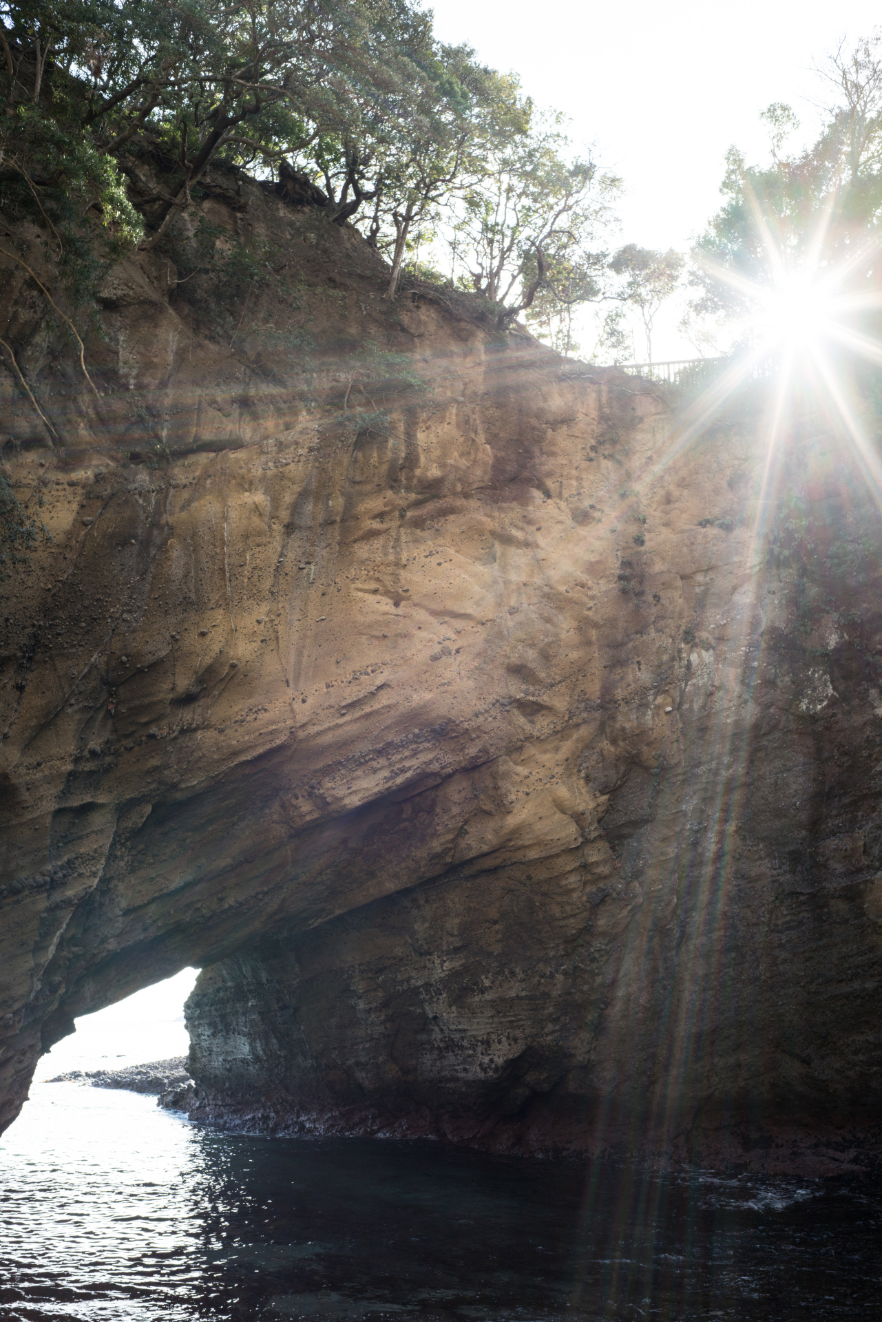 α7R II / ISO50 / F8 / 1/100秒