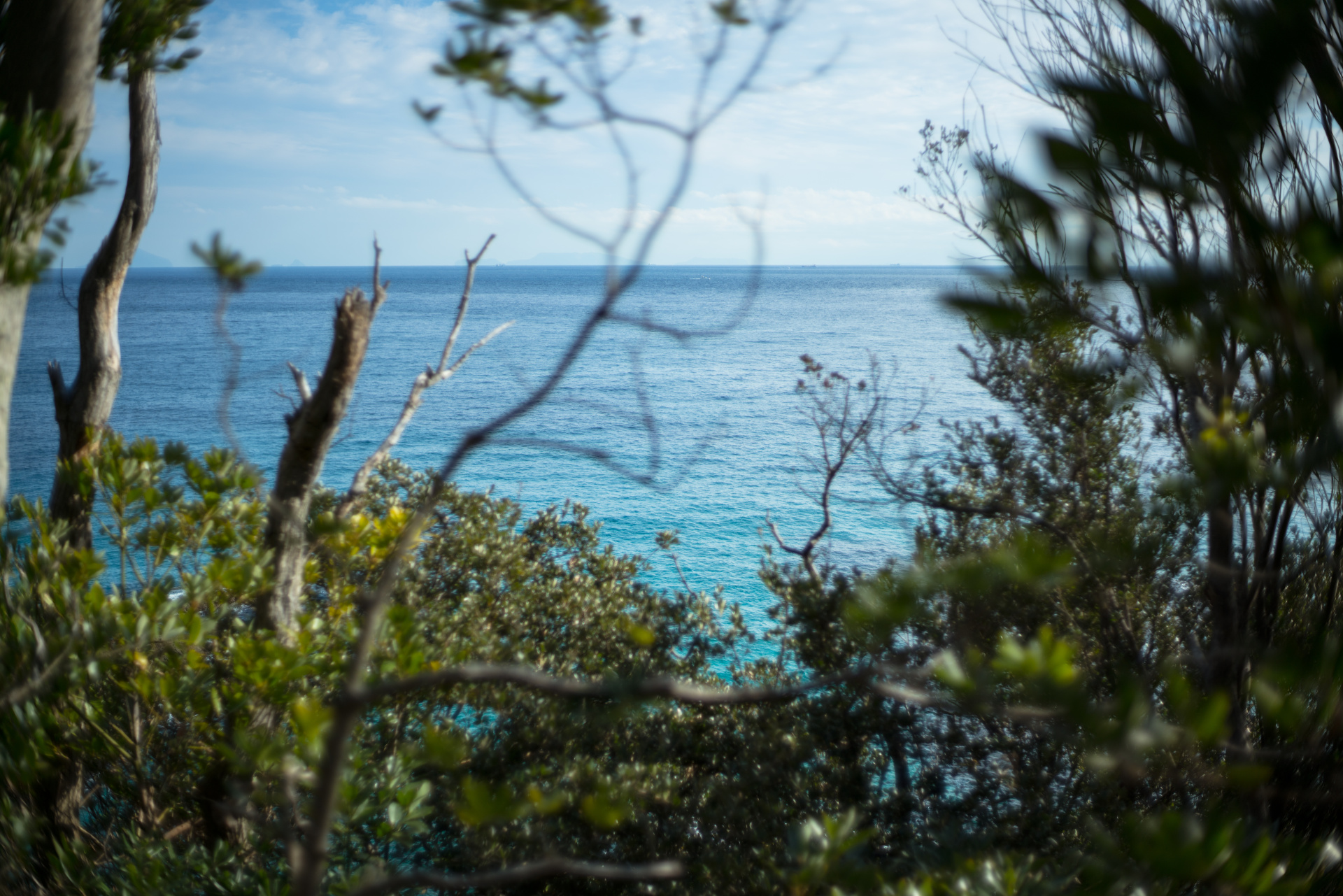 α7R II / ISO50 / F1.4 / 1/4,000秒