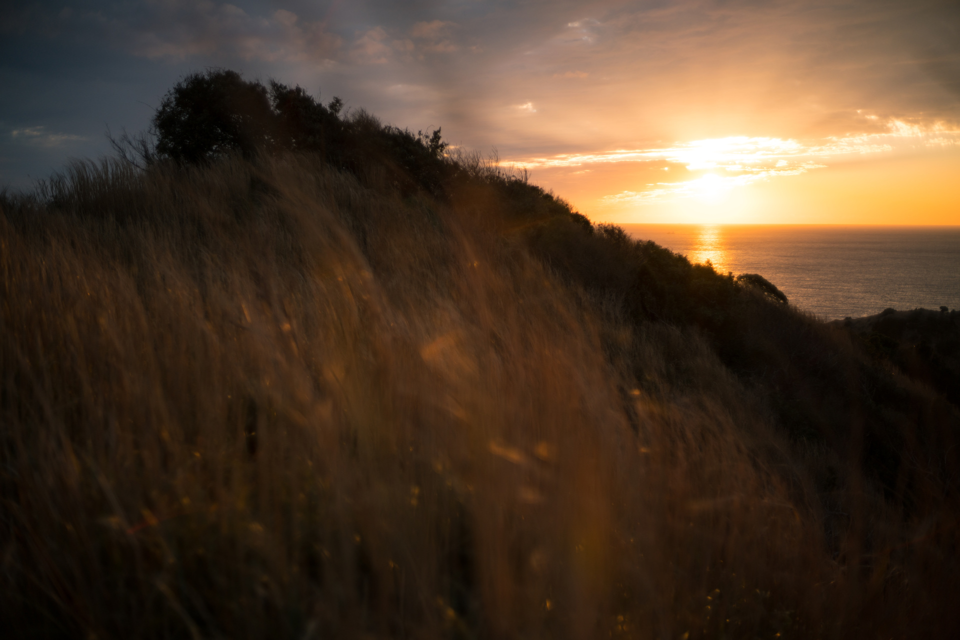 デジタルカメラマガジン2018年2月号には、同じ場所から絞りF8で撮影したものを掲載している。ぜひ見比べて、このレンズの魅力の1つであるF値の違いによる描写の違いを実感してみてほしい。α7R II / ISO100 / F1.4 / 1/2,500秒