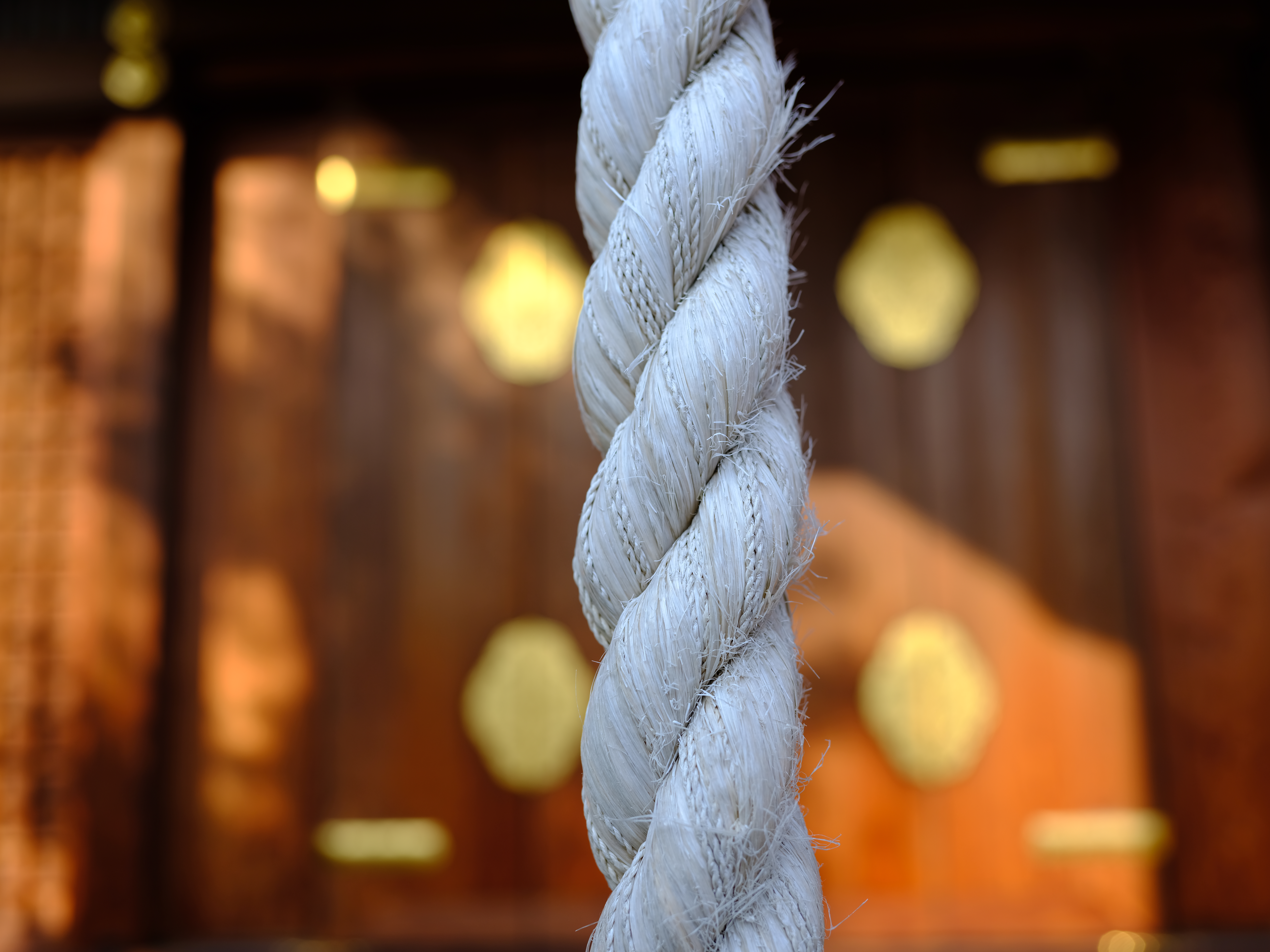 GFX 50S / GF45mmF2.8 R WR / 1/180秒 / F4 / 0EV / ISO 100 / 絞り優先AE / 45mm