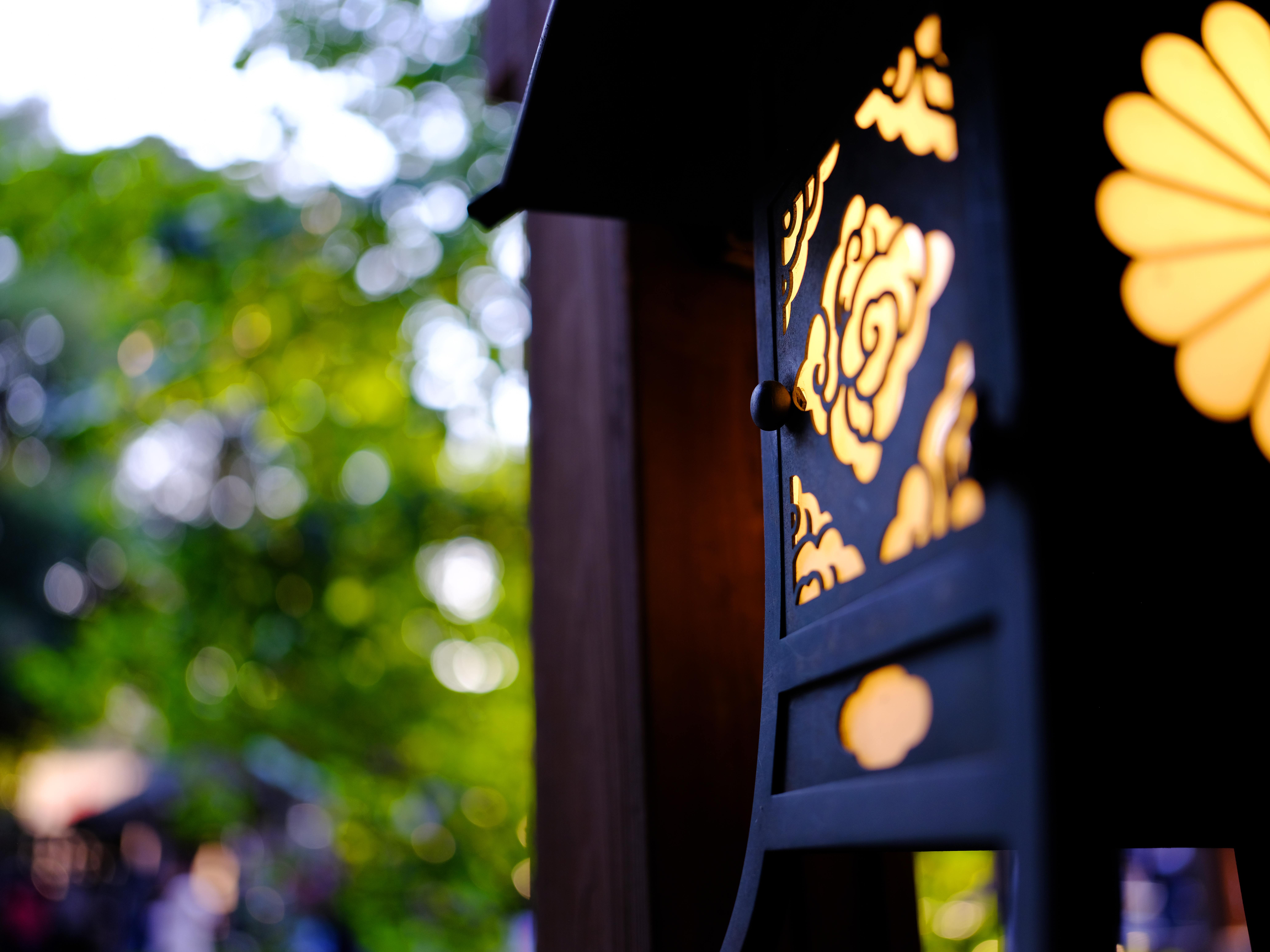 GFX 50S / GF45mmF2.8 R WR / 1/240秒 / F2.8 / -0.7EV / ISO 400 / 絞り優先AE / 45mm