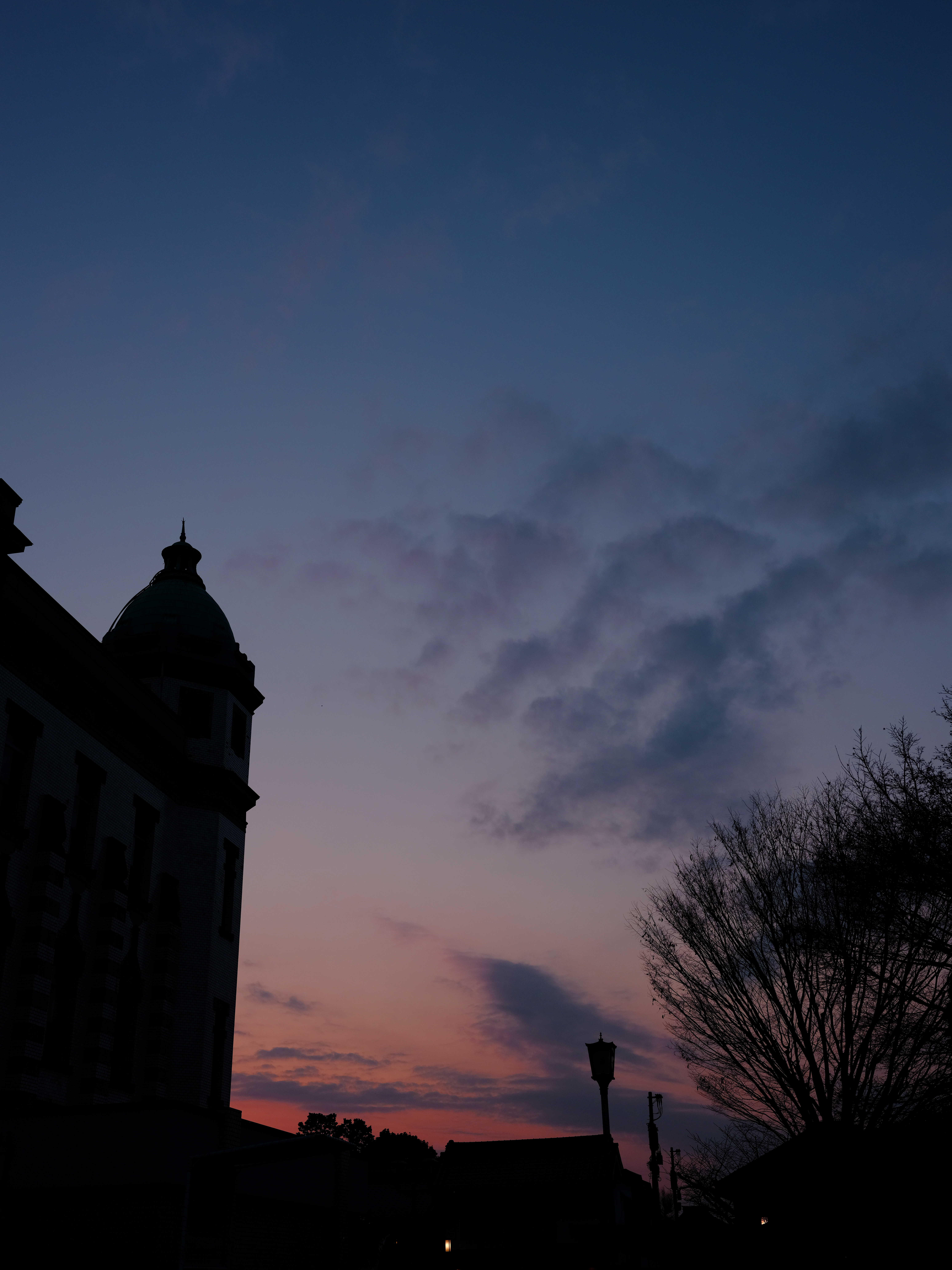 GFX 50S / GF45mmF2.8 R WR / 1/300秒 / F8 / -1.3EV / ISO 400 / 絞り優先AE / 45mm