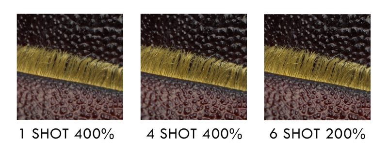 通常撮影と、マルチショット（4ショット、6ショット）の画質イメージ