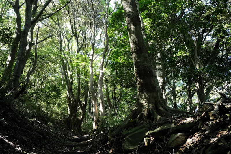 撮影：佐々木啓太<br><span class="fnt-85">X-E3 / XF23mmF2 R WR / 23mm（34.5mm相当） / 絞り優先（1/40秒・F8.0・±0EV） / ISO3200</span>