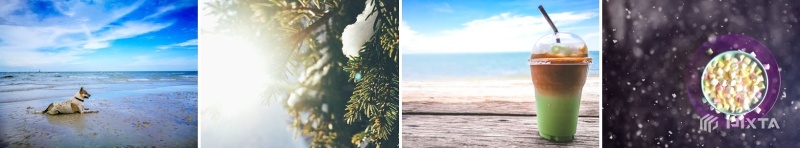 トライアル中に投稿されたスマホ撮影による写真素材