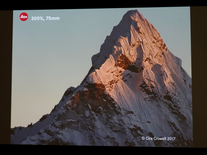 上の赤枠部分を拡大したところ。
