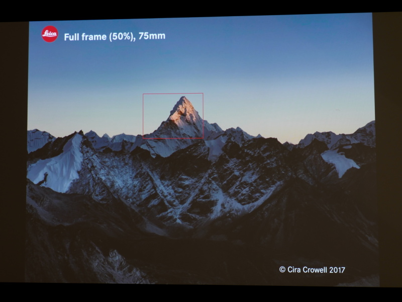 アポ・ズミクロンSL f2/75mm ASPH.の作例を用いた「近付くほどディテールが見える」のイメージ。