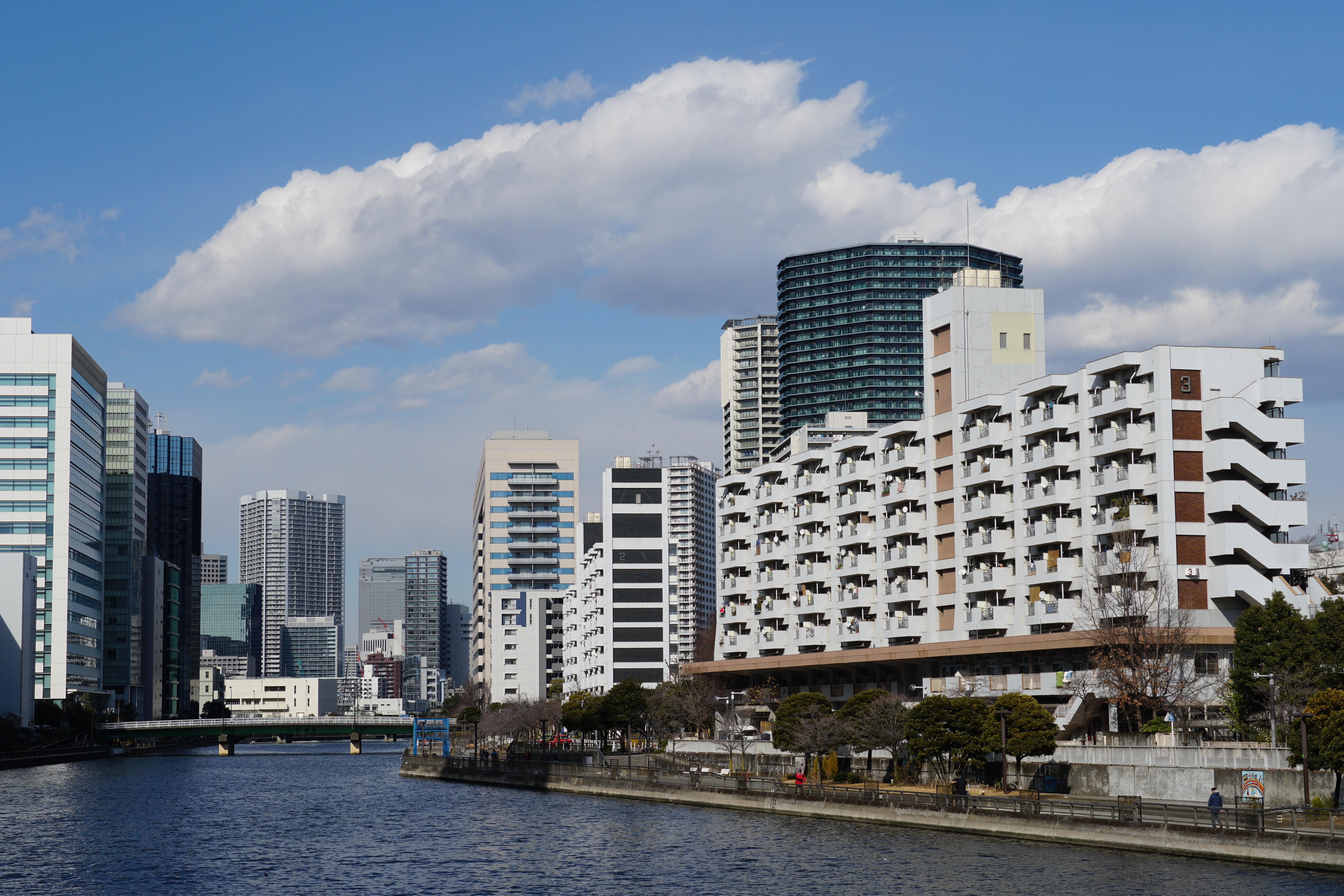 α6500 / E 18-135mm F3.5-5.6 OSS / 1/250秒 / F11 / 0EV / ISO 100 / プログラム / 43mm