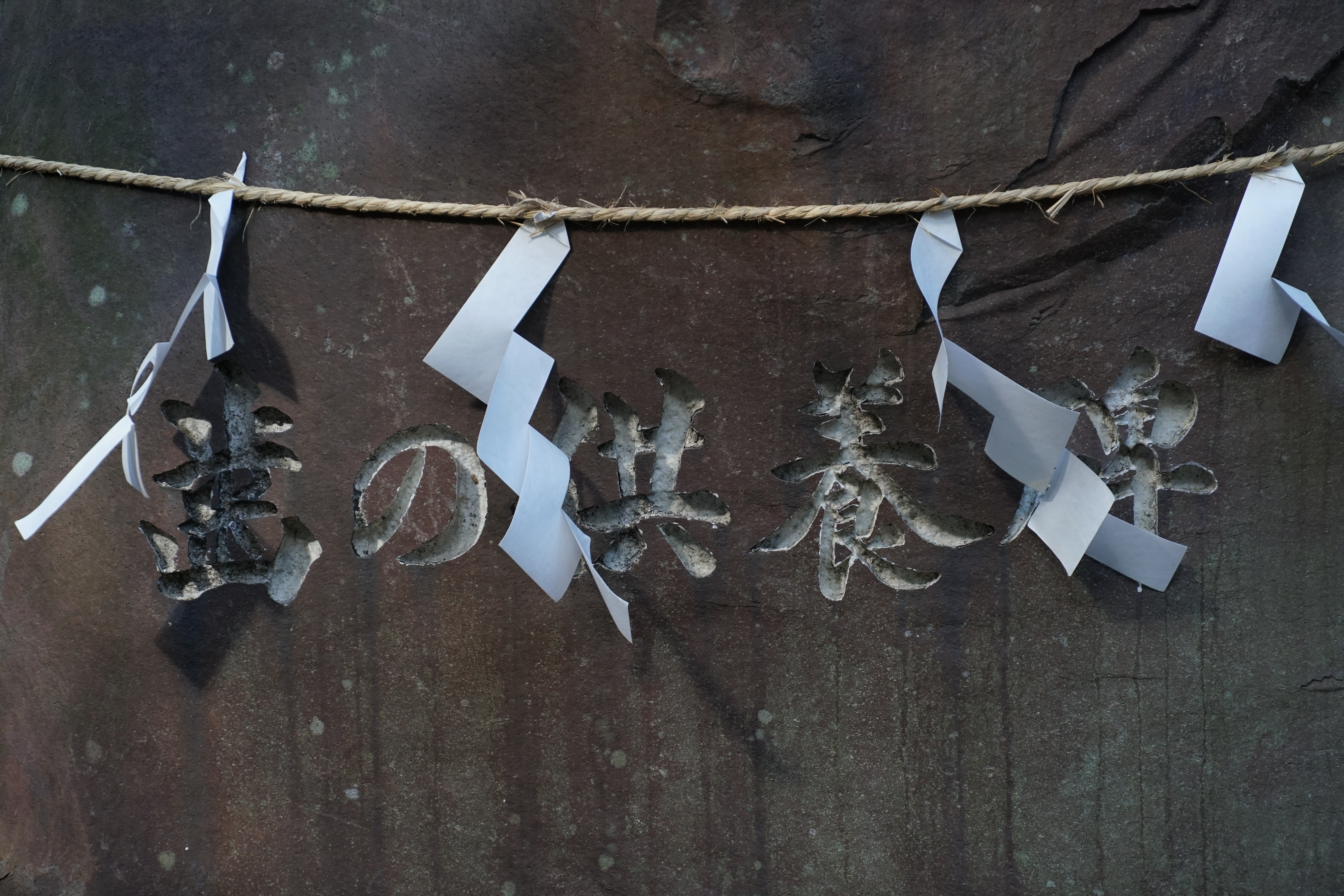 α6500 / E 18-135mm F3.5-5.6 OSS / 1/160秒 / F5.6 / -1.3EV / ISO 500 / 絞り優先AE / 91mm