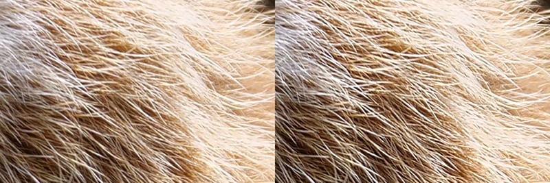 左からシミュレーションA（LUMIX G9 PRO）、シミュレーションB