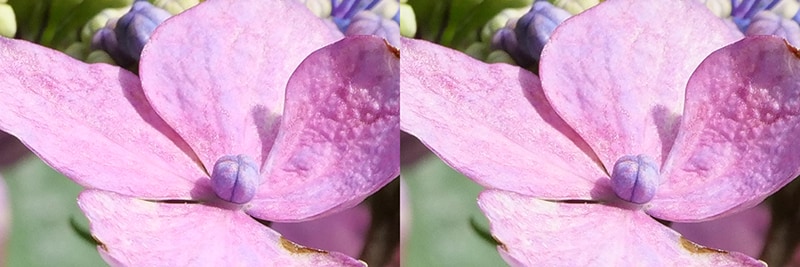 左からシミュレーションA（LUMIX G9 PRO）、シミュレーションB