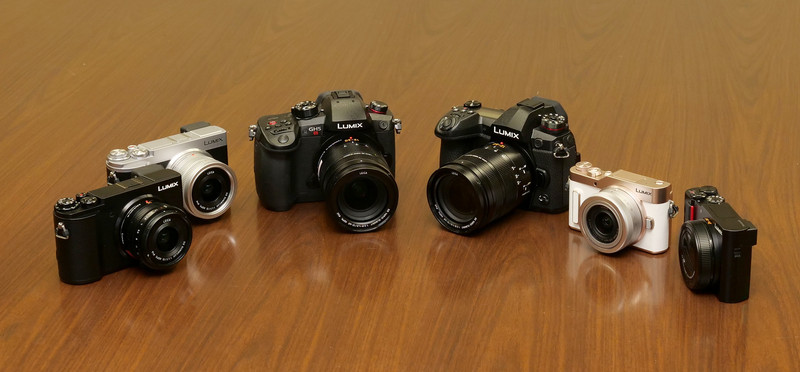 LUMIX G9 PRO以降に発表・発売される機種は、すべて「生命力・生命美」の絵作りが反映されている。