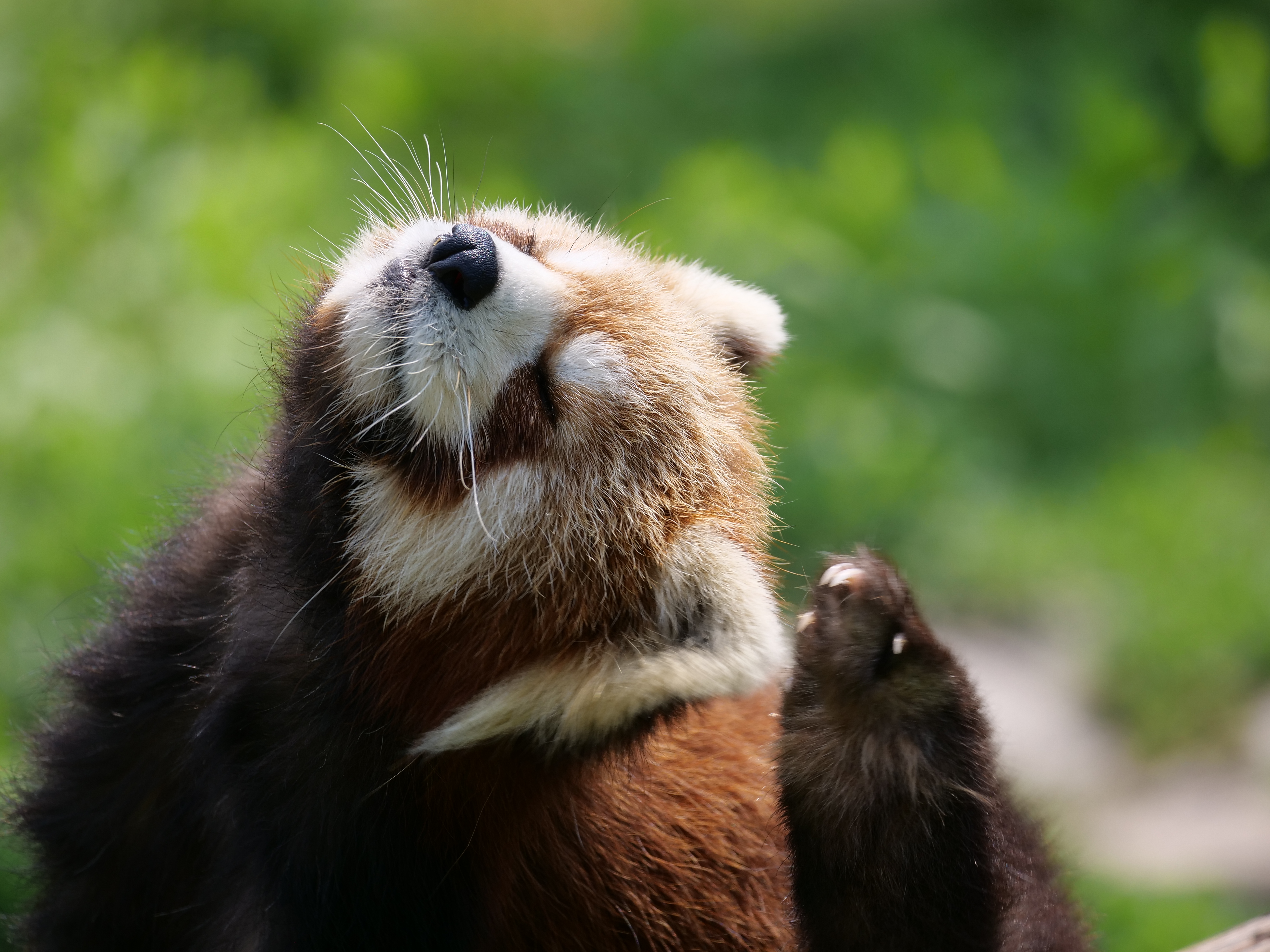 シミュレーションB