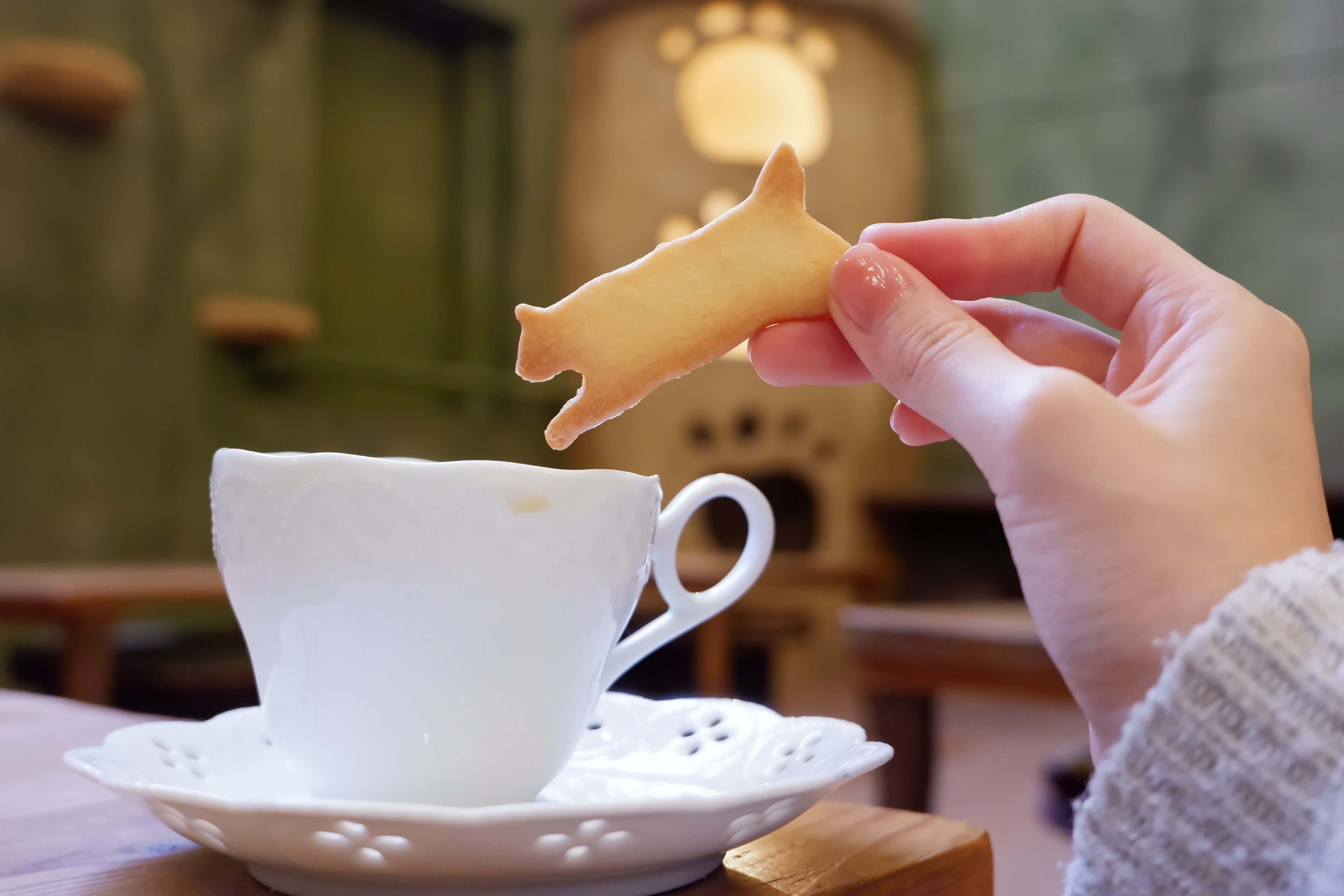 X-A5 / XC15-45mmF3.5-5.6 OIS PZ / 1/50秒 / F4.4 / +0.3EV / ISO 3200 / ポートレート / 25.6mm