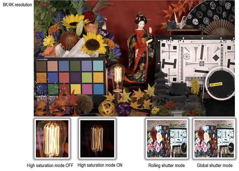 8Kセンサー 高解像度撮像例 スタジオ撮影