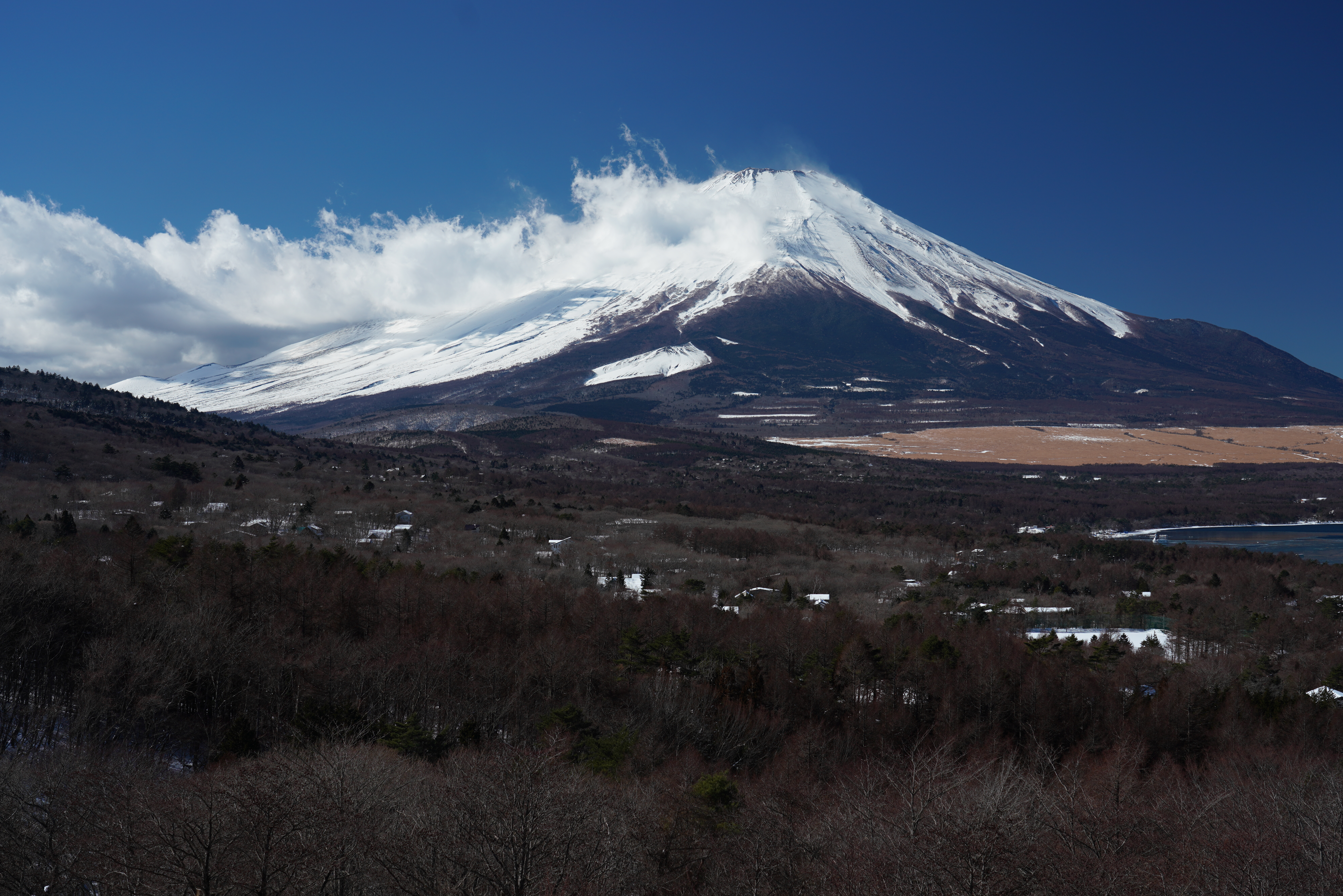 ソニーα7R III FE24-105mm F4G OSS 絞り優先オート F5.6 1/640秒 -0.7EV補正 ISO100 WB:AUTO（ホワイト優先） クリエイティブスタイル[スタンダード] DRO[オート]