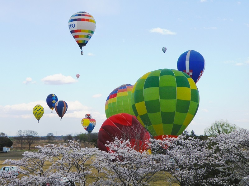 渡良瀬バルーンレース2014