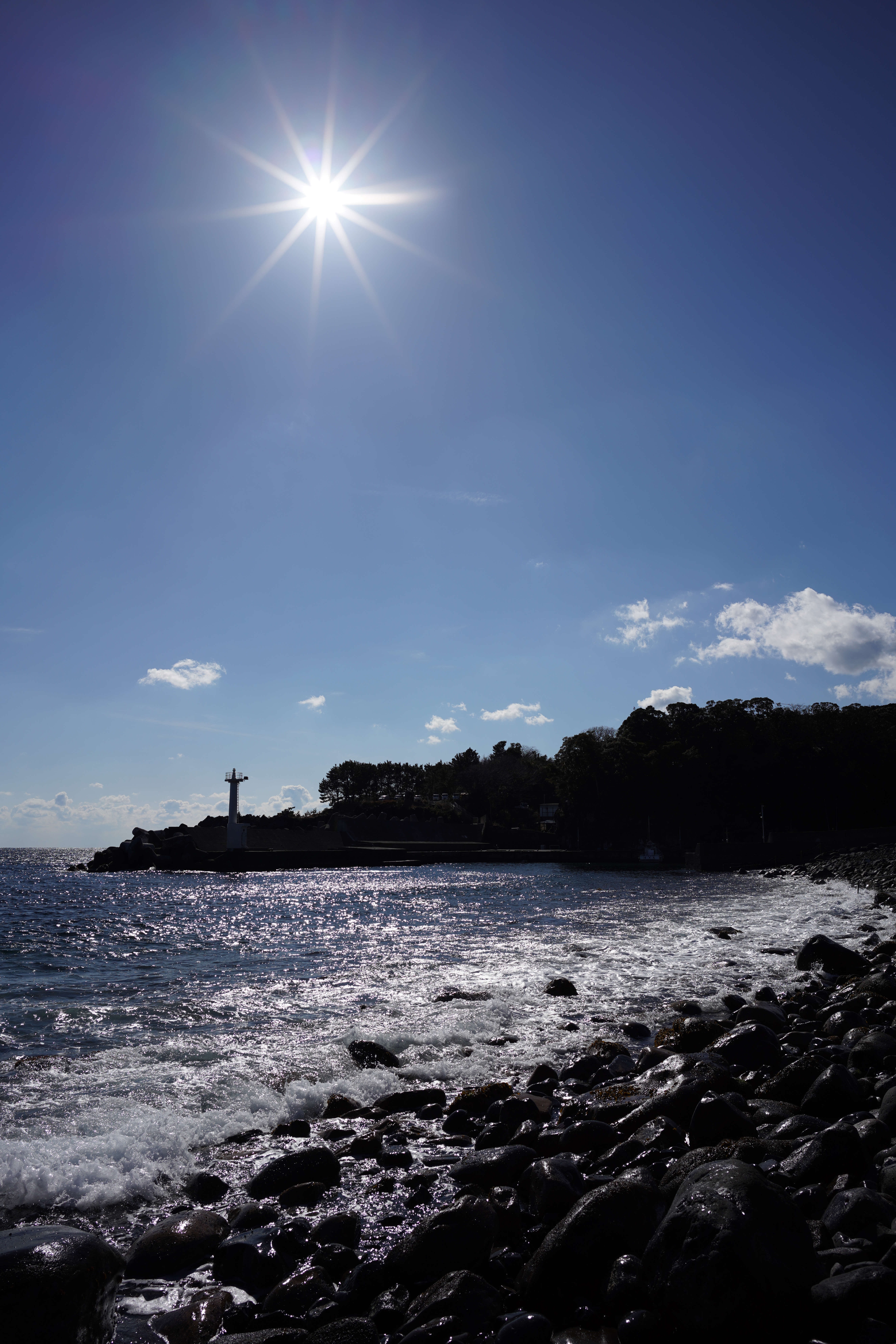 α7R III / Loxia 2.4/25 / 1/2,000秒 / F5.6 / 0EV / ISO 100 / 絞り優先AE / 25mm