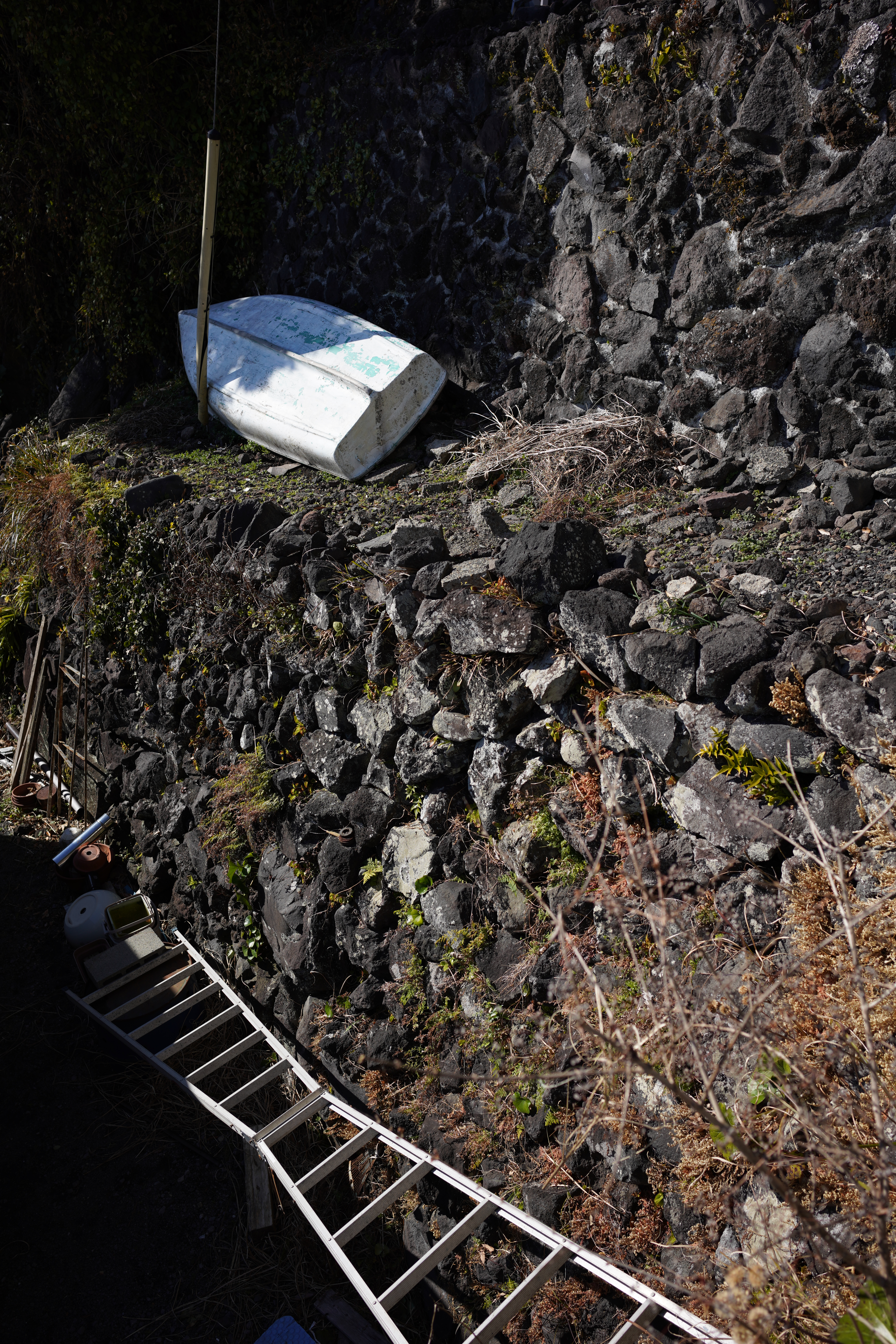 α7R III / Loxia 2.4/25 / 1/1,000秒 / F4 / -0.7EV / ISO 100 / 絞り優先AE / 25mm