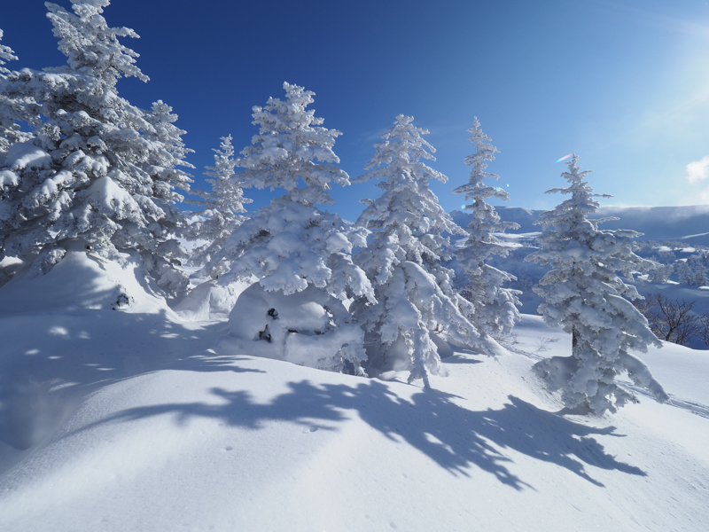 冬の十勝岳は木々が樹氷となり造形が美しい。樹氷と影を迫力ある表現にしたかったので、7mmで被写体に近づきパースペクティブを強調した。<br><span class="fnt-85">OLYMPUS OM-D E-M1 Mark II / M.ZUIKO DIGITAL ED 7-14mm F2.8 PRO / 7mm（14mm相当） / 絞り優先AE（F11、1/500秒、±0EV） / ISO 200</span>