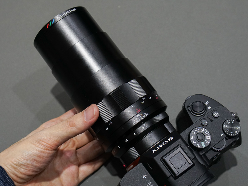 最短撮影距離にしたところ。