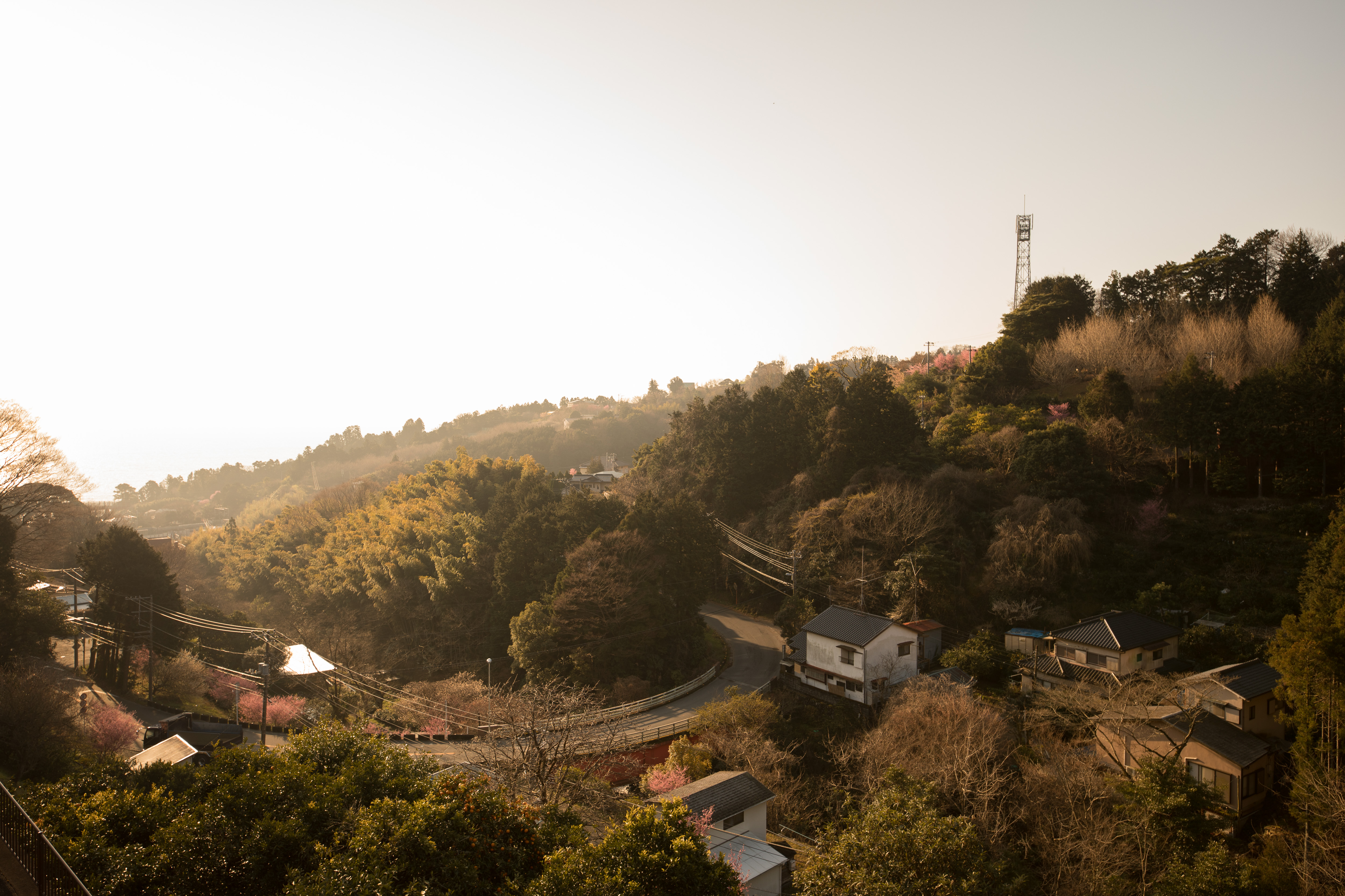 EOS 5D Mark IV / SIGMA 14-24mm F2.8 DG HSM | Art / 1/640秒 / F2.8 / 0EV / ISO 100 / 絞り優先AE / 24mm