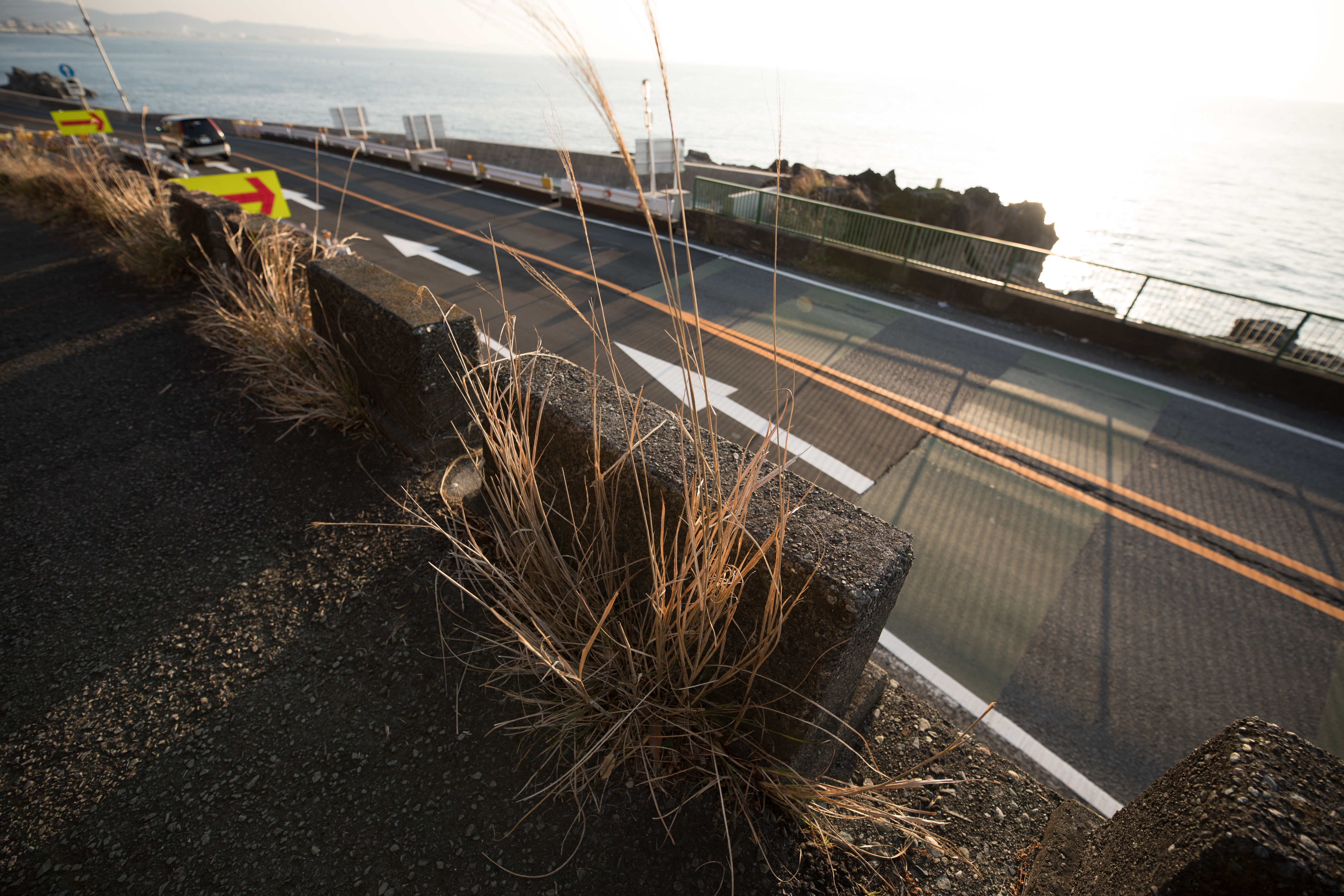 EOS 5D Mark IV / SIGMA 14-24mm F2.8 DG HSM | Art / 1/500秒 / F2.8 / 0EV / ISO 100 / 絞り優先AE / 14mm