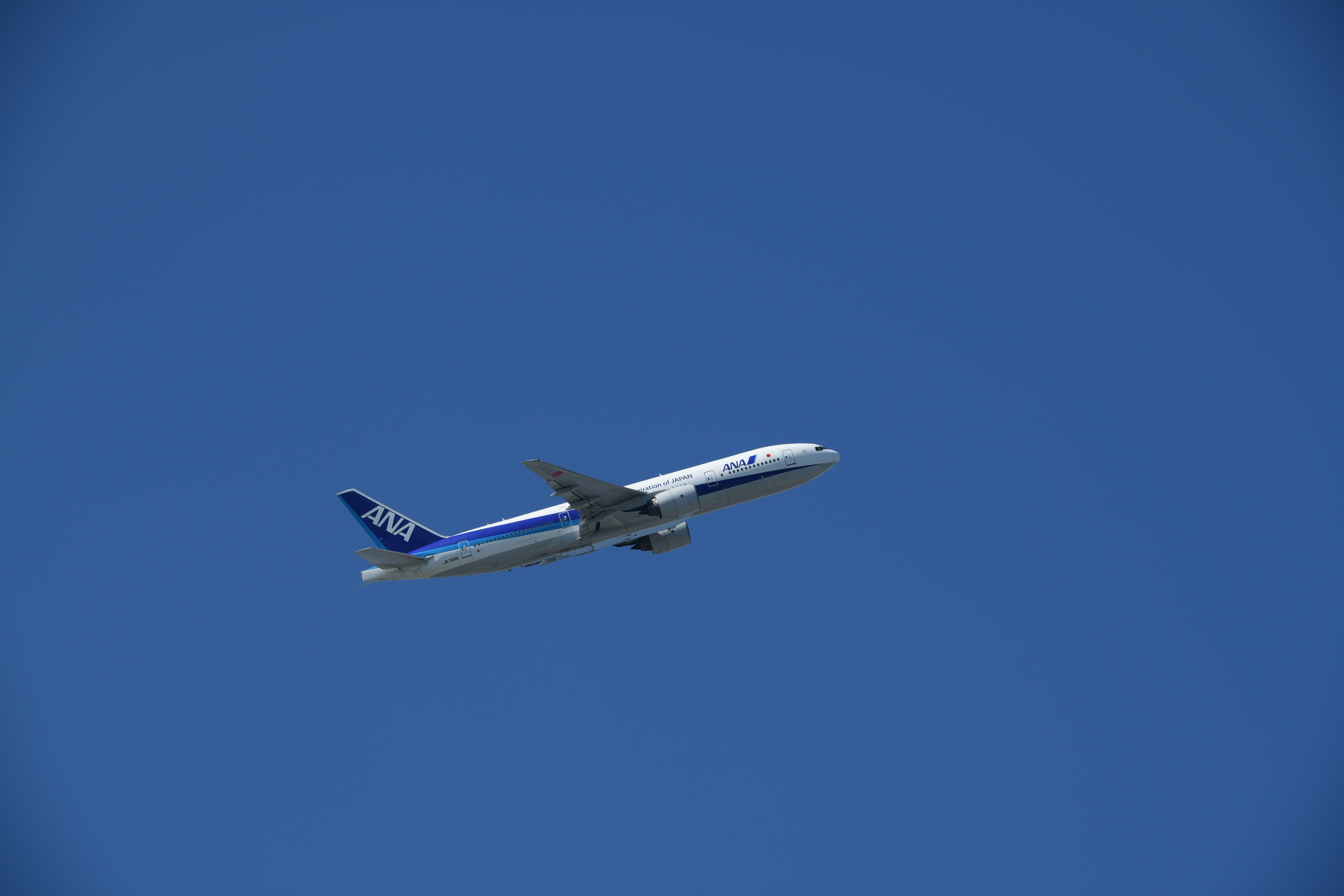 D850 / AF-S NIKKOR 180-400mm f/4E TC1.4 FL ED VR / 1/250秒 / F8 / 0EV / ISO 64 / 絞り優先AE / 180mm