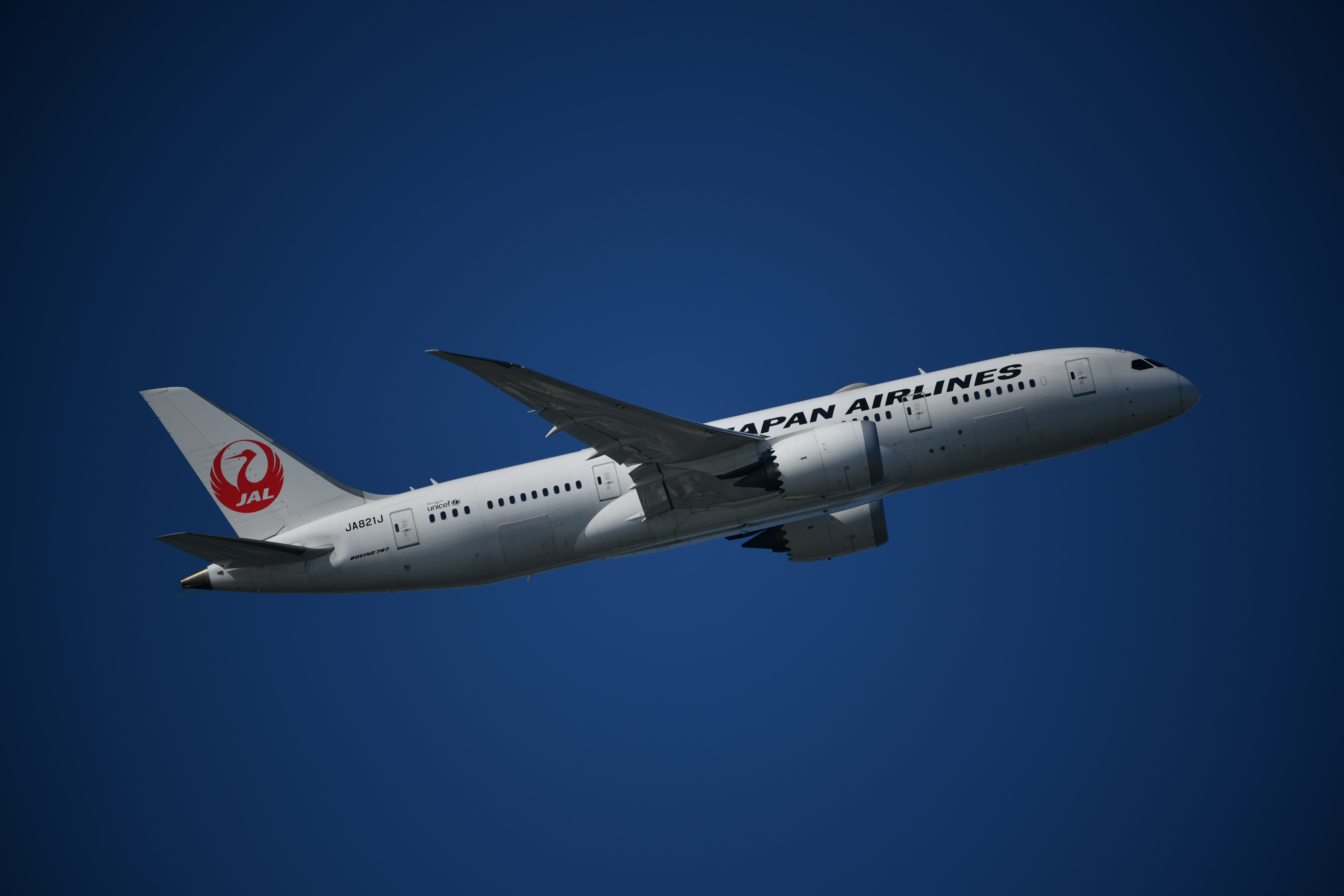 D850 / AF-S NIKKOR 180-400mm f/4E TC1.4 FL ED VR / 1/2,000秒 / F4 / -0.7EV / ISO 64 / 絞り優先AE / 400mm