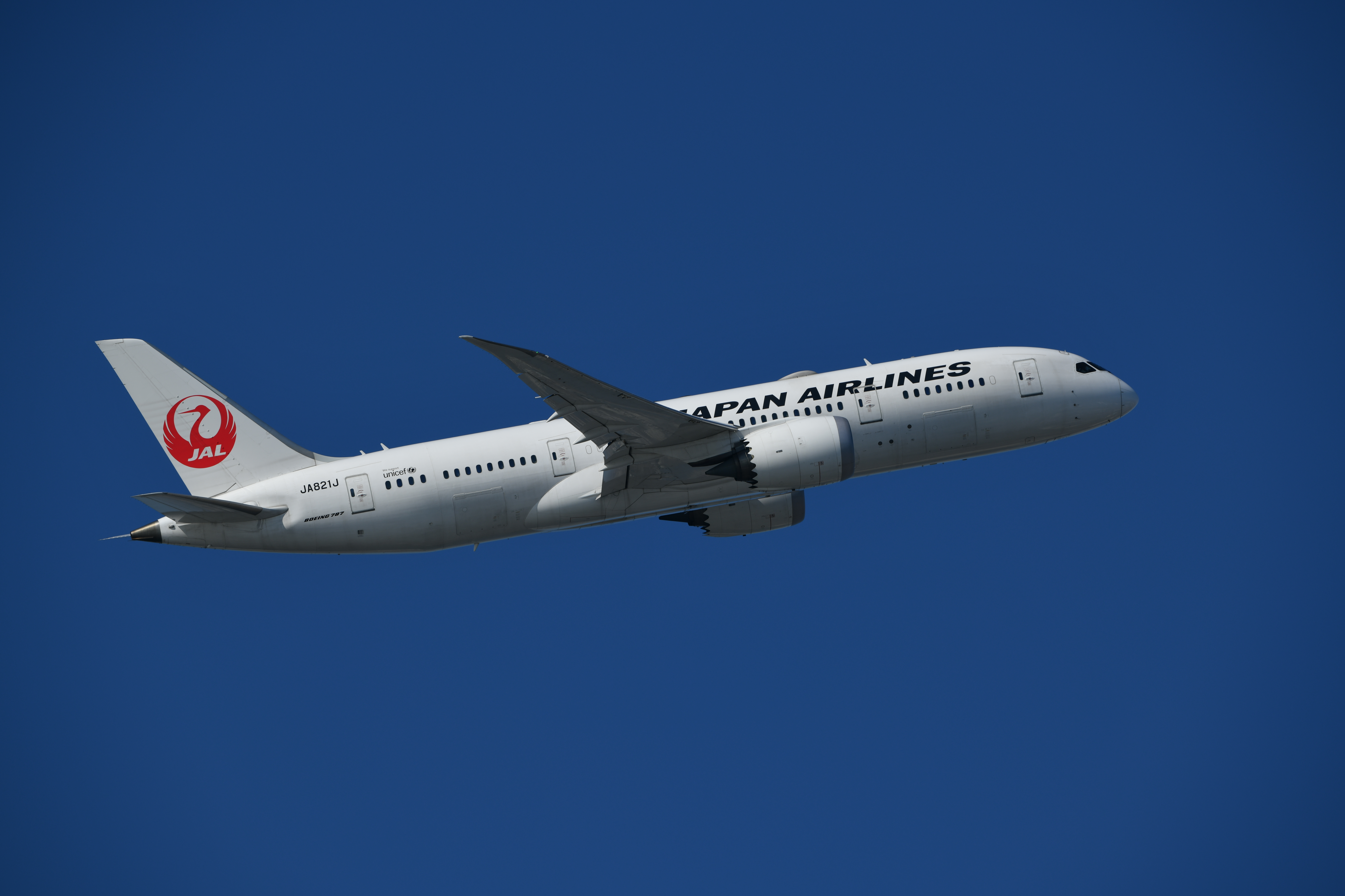 D850 / AF-S NIKKOR 180-400mm f/4E TC1.4 FL ED VR / 1/500秒 / F8 / -0.7EV / ISO 64 / 絞り優先AE / 400mm