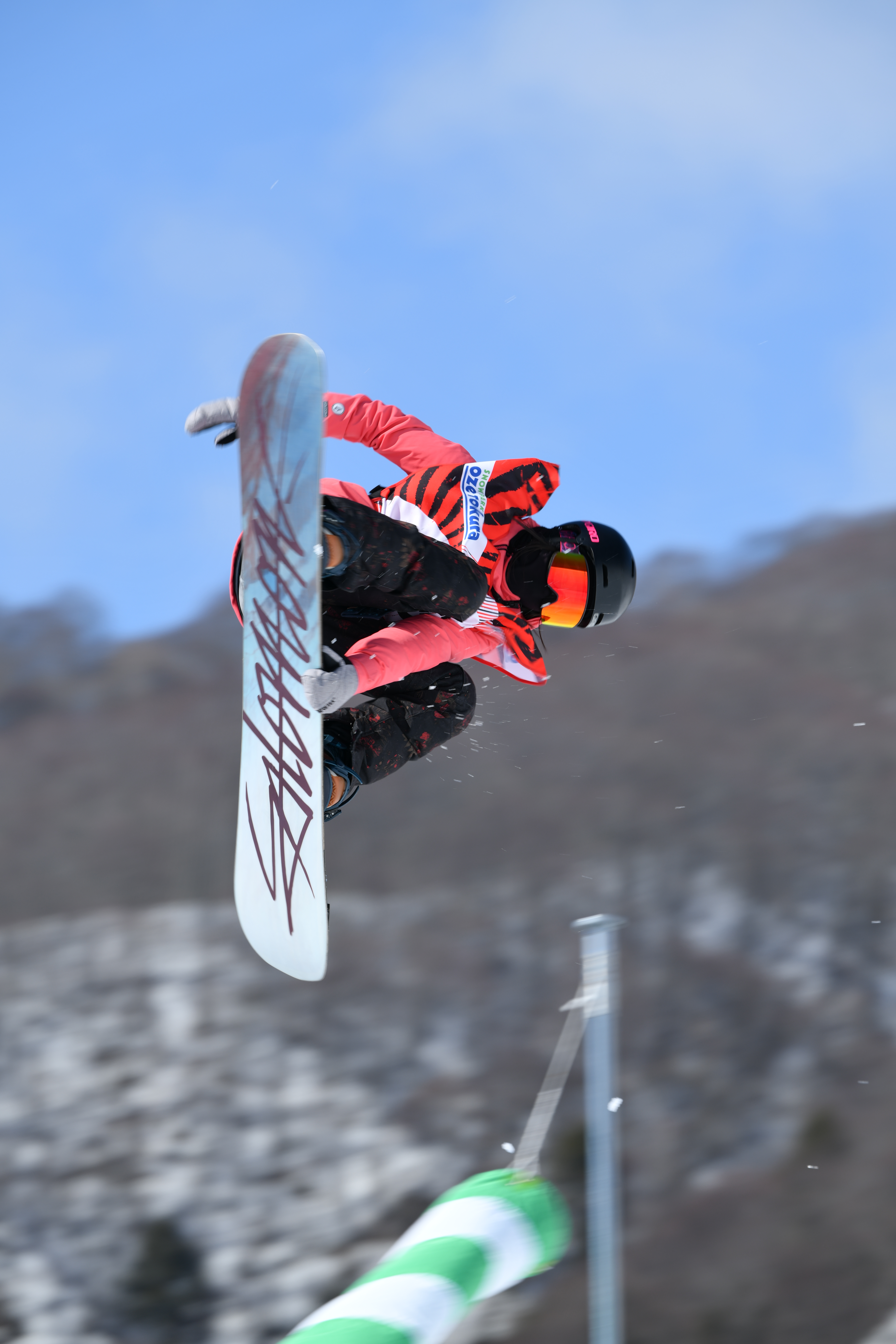 D850 / AF-S NIKKOR 180-400mm f/4E TC1.4 FL ED VR / 1/200秒 / F9 / 0EV / ISO 64 / マニュアル露出 / 340mm