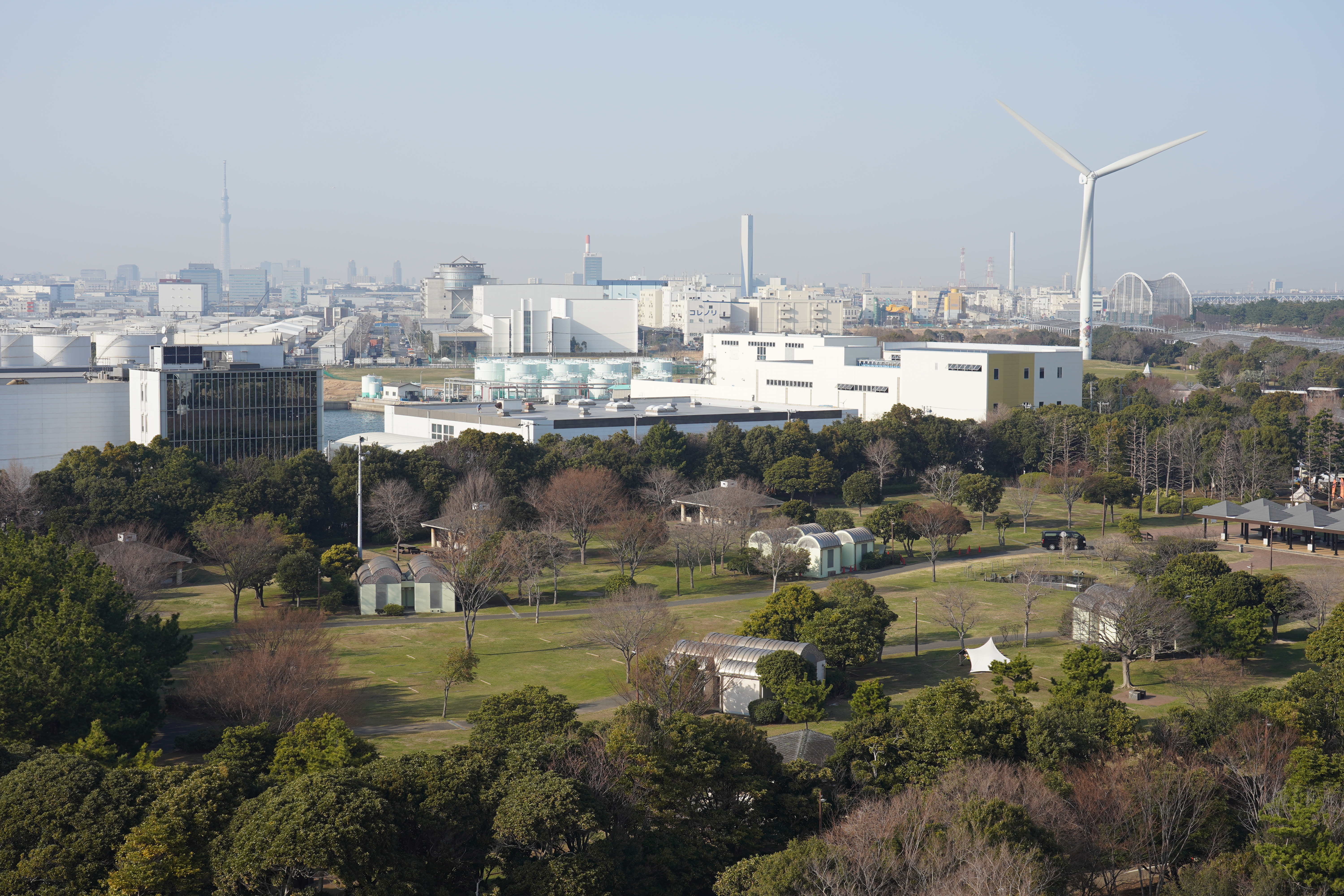 α7 III / FE 24-105mm F4 G OSS / 1/250秒 / F8 / -0.3EV / ISO 100 / 絞り優先AE / 56mm