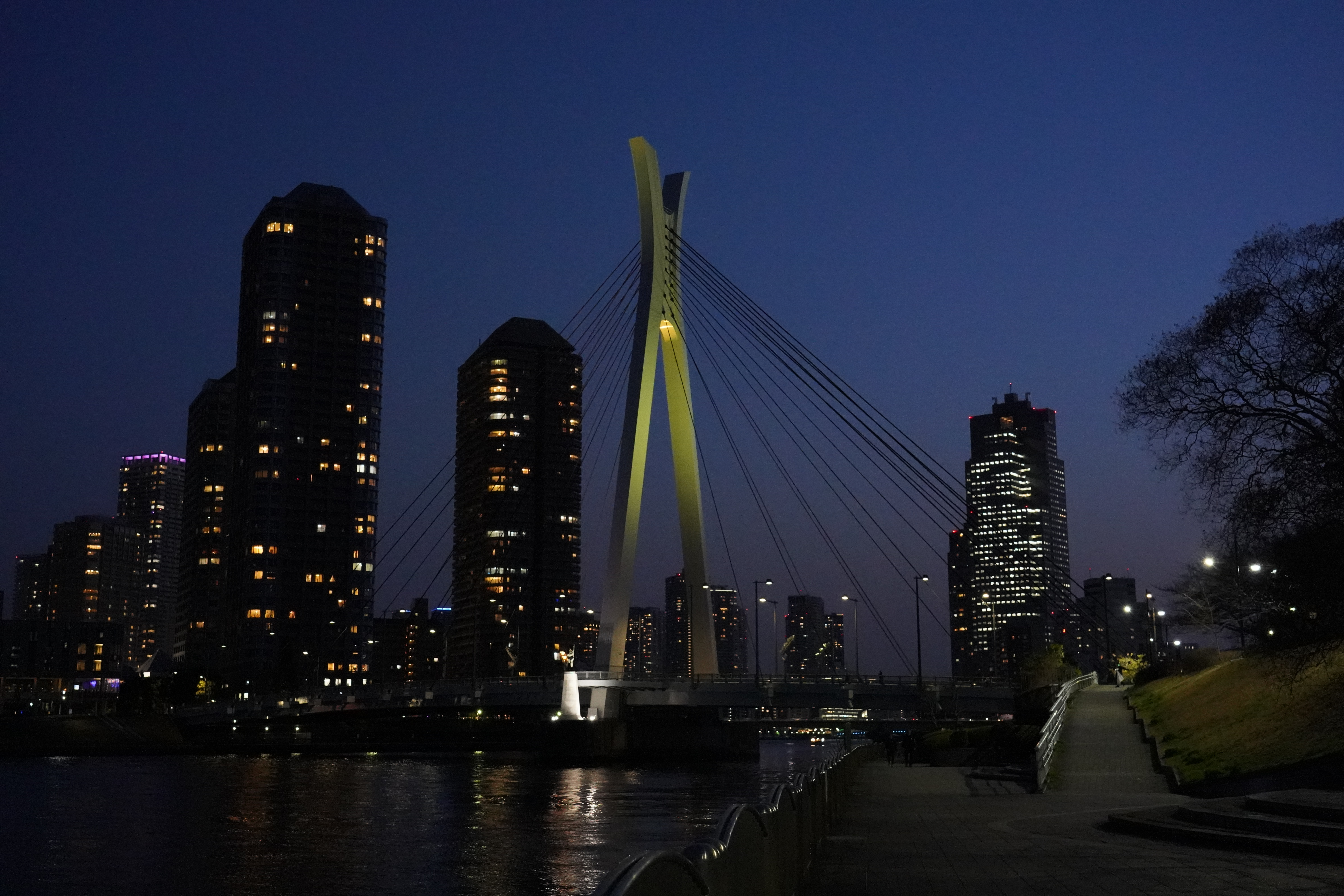 α7 III / FE 24-105mm F4 G OSS / 1/125秒 / F5.6 / -0.7EV / ISO 12800 / 絞り優先AE / 38mm