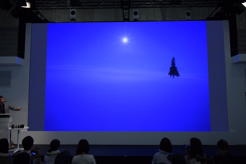 「クリスマスツリーの木」を、満月を入れて撮影。普通に撮るものとは一味違う作品になった。